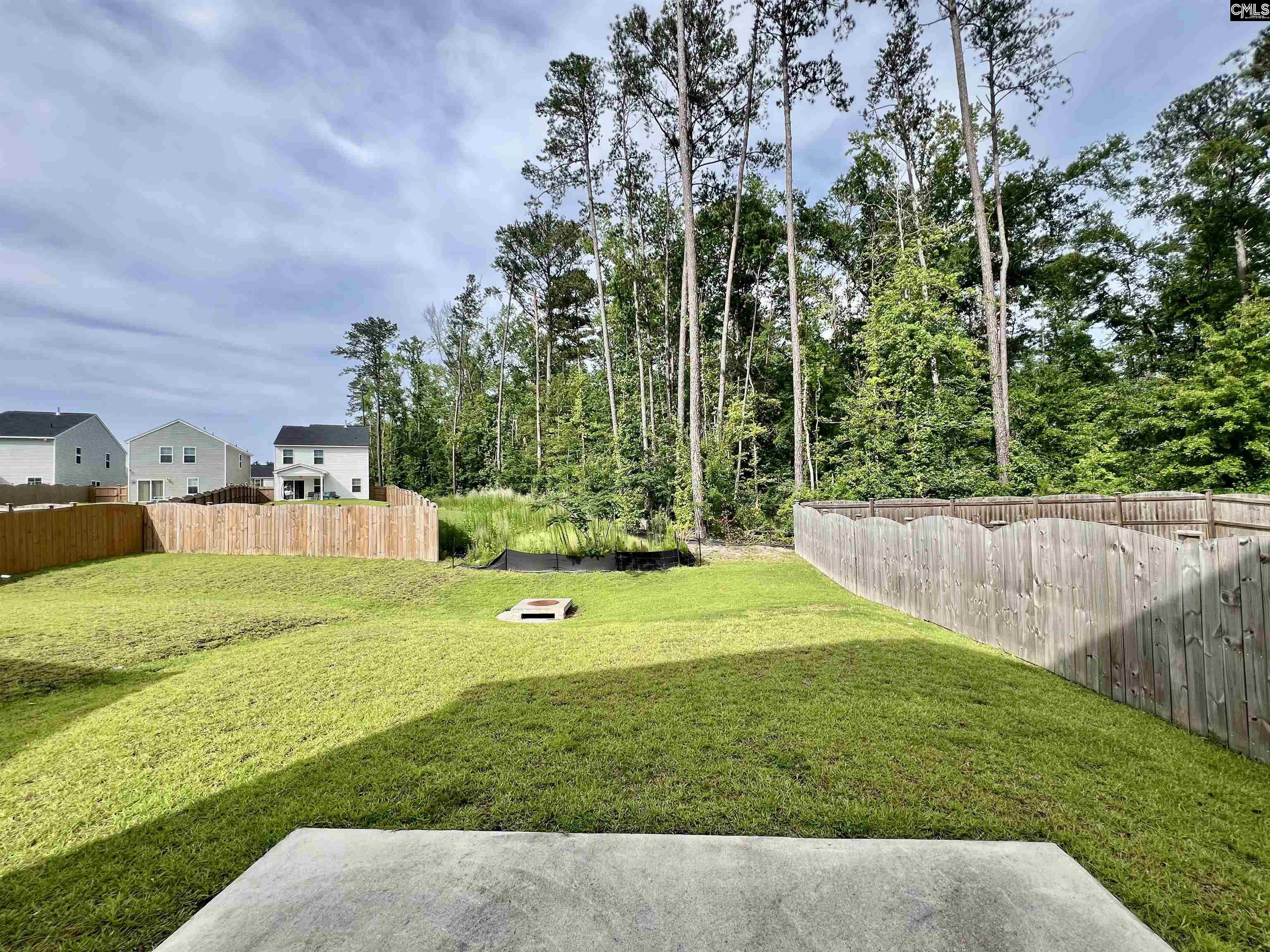 254 Braemar Drive, Lexington, South Carolina image 19