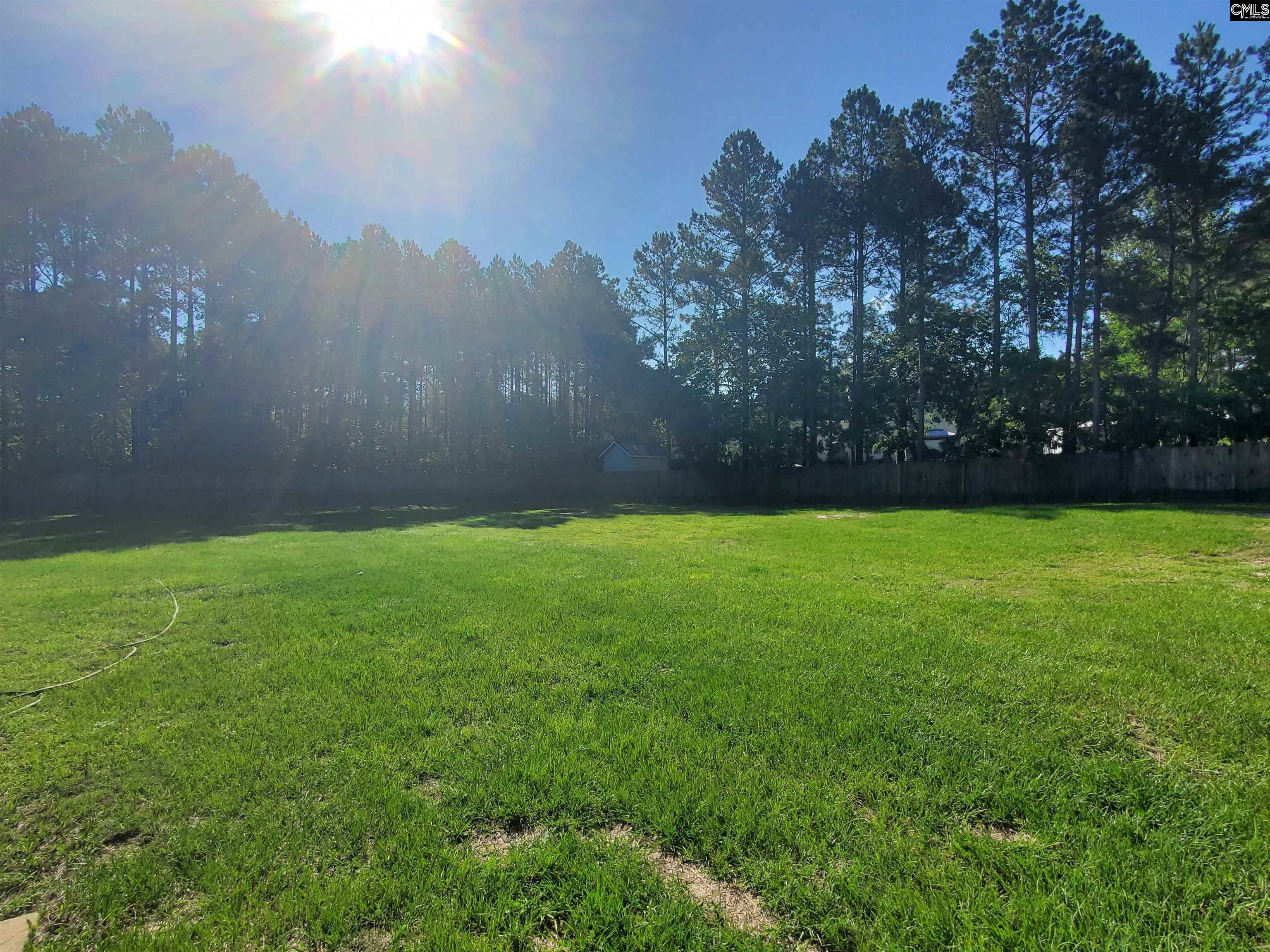 241 Siddington Way, Lexington, South Carolina image 19