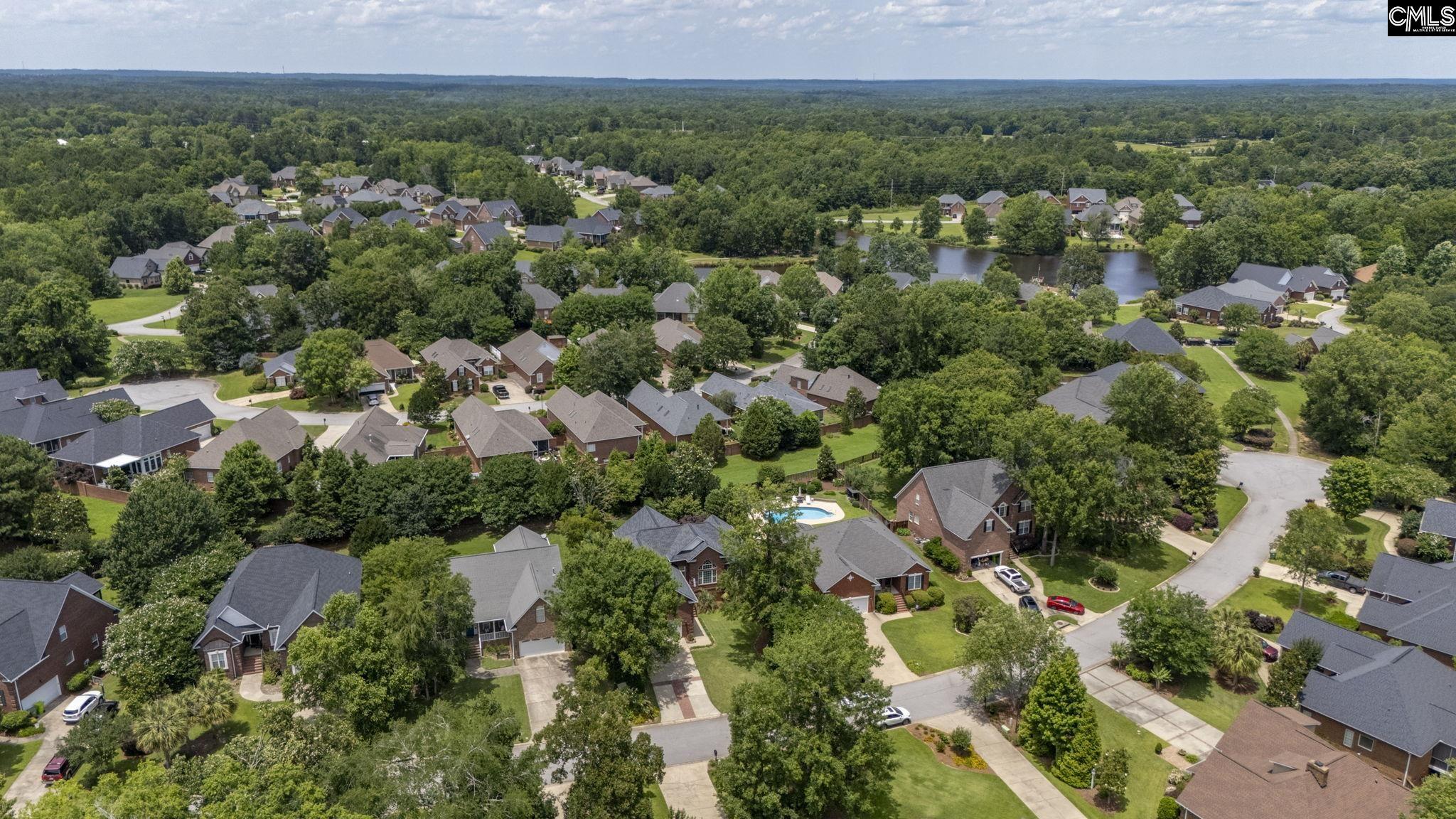 21 Hilton Glen Court, Chapin, South Carolina image 50