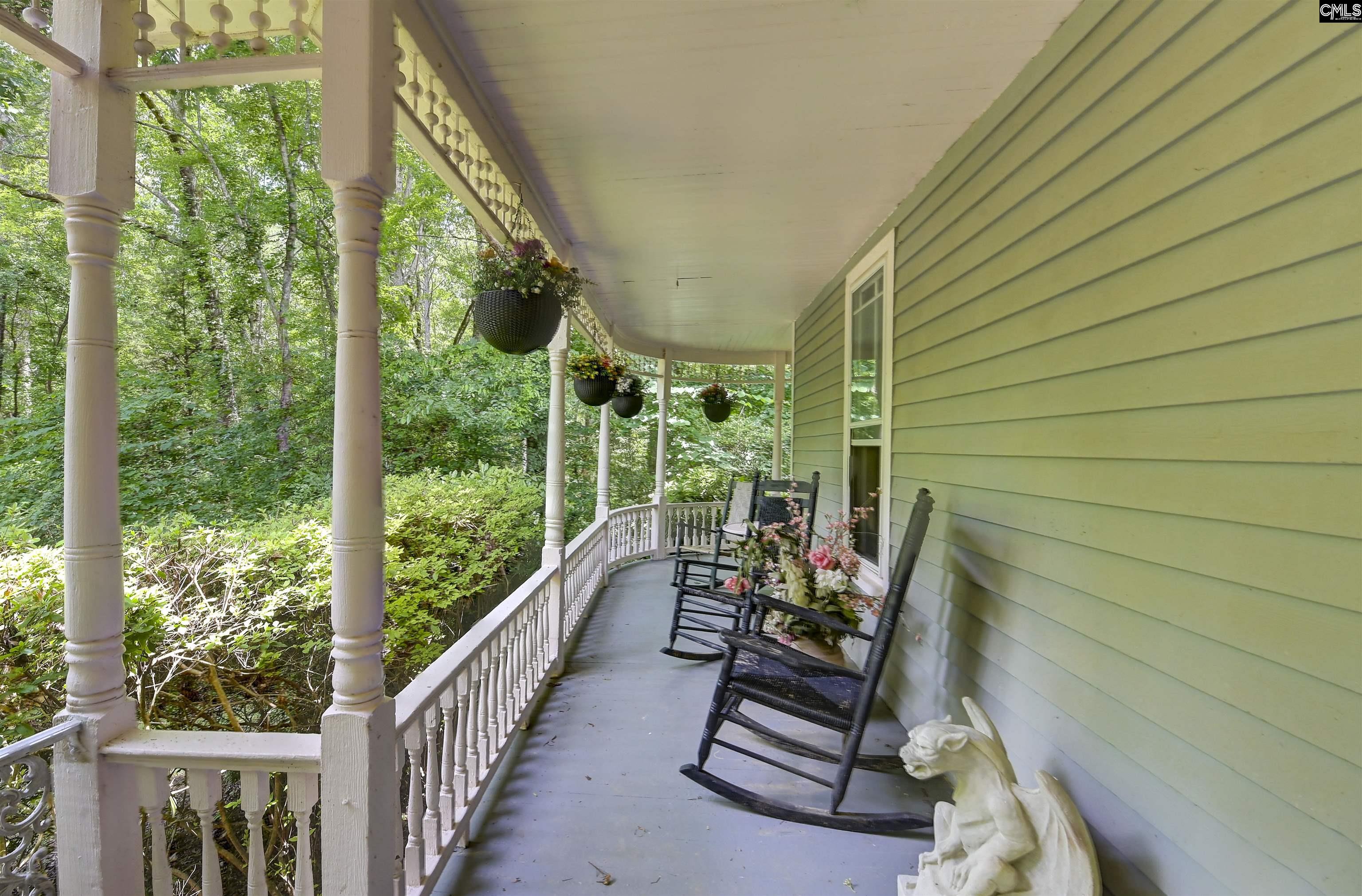1208 Peacehaven Road, Chapin, South Carolina image 11