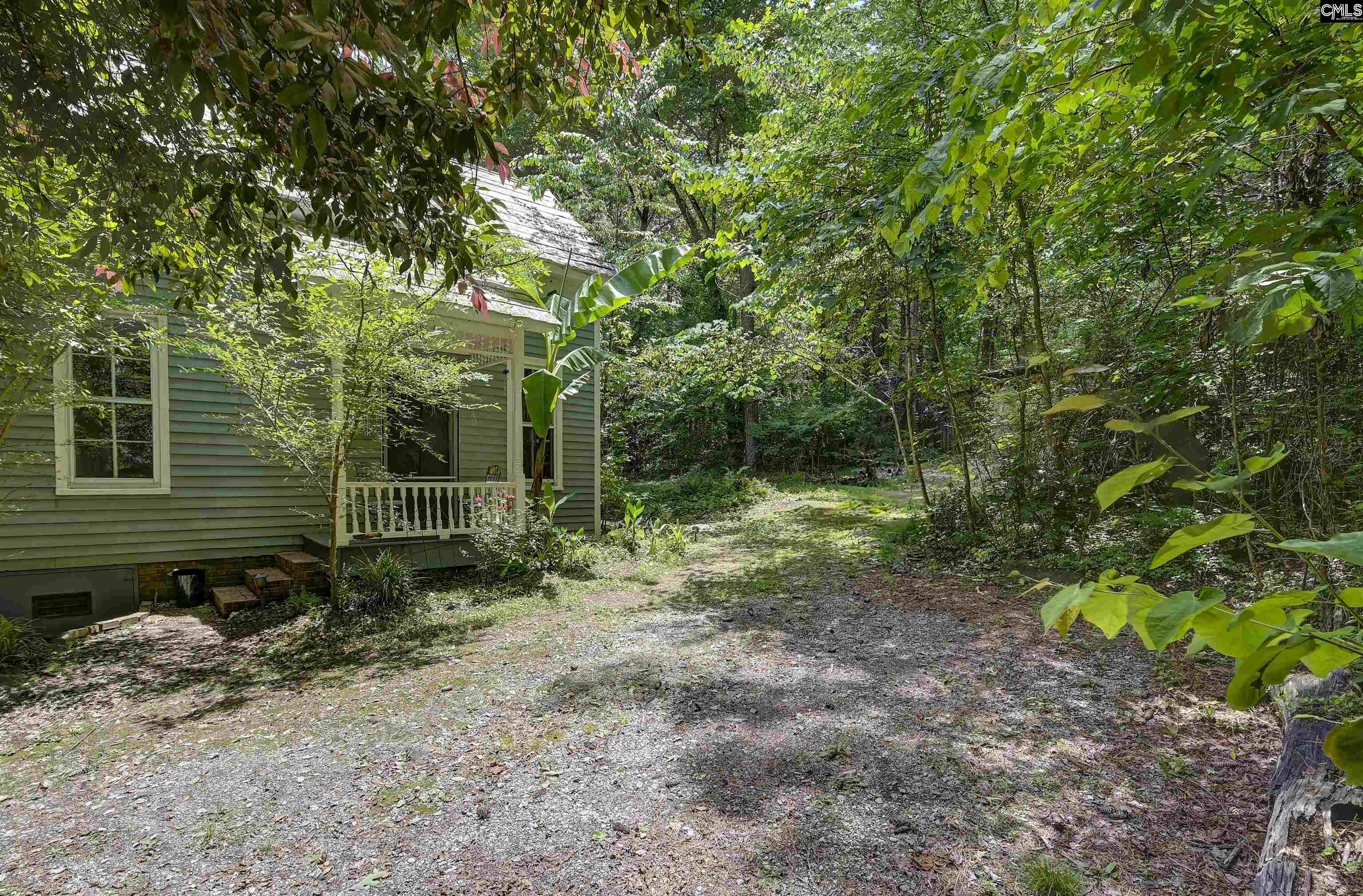 1208 Peacehaven Road, Chapin, South Carolina image 13