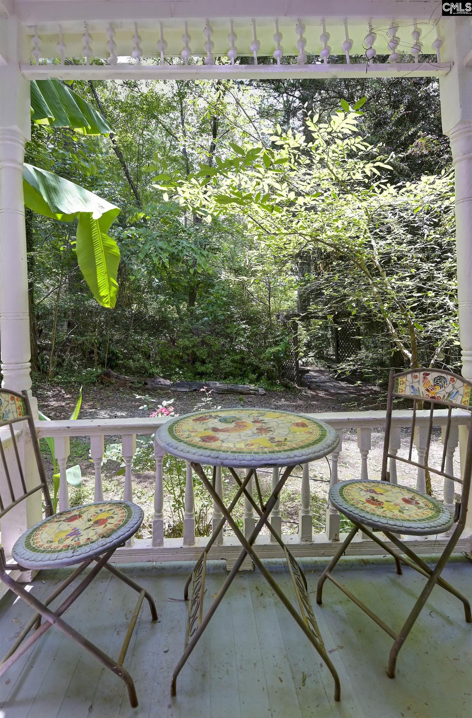 1208 Peacehaven Road, Chapin, South Carolina image 14