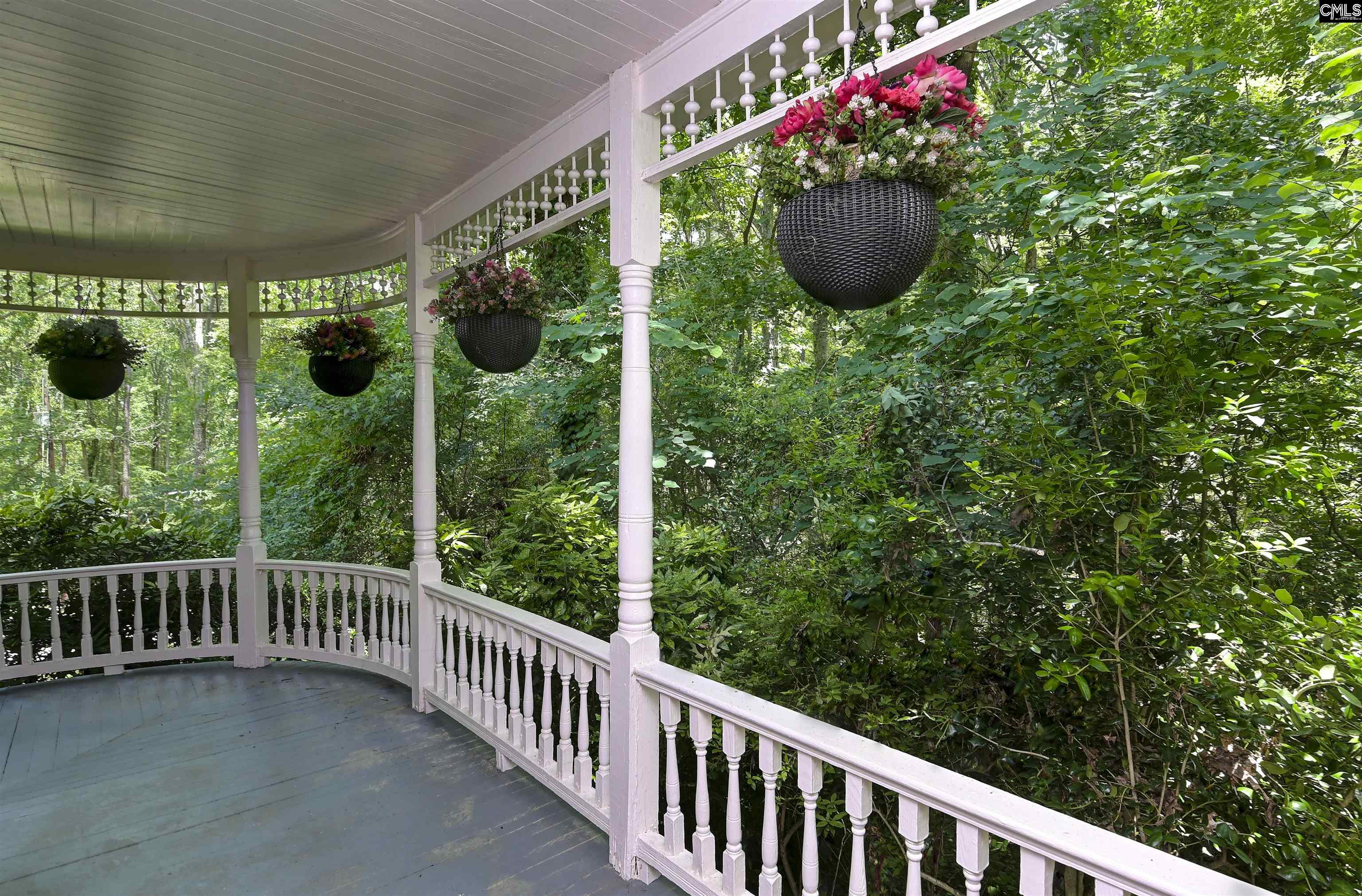 1208 Peacehaven Road, Chapin, South Carolina image 5