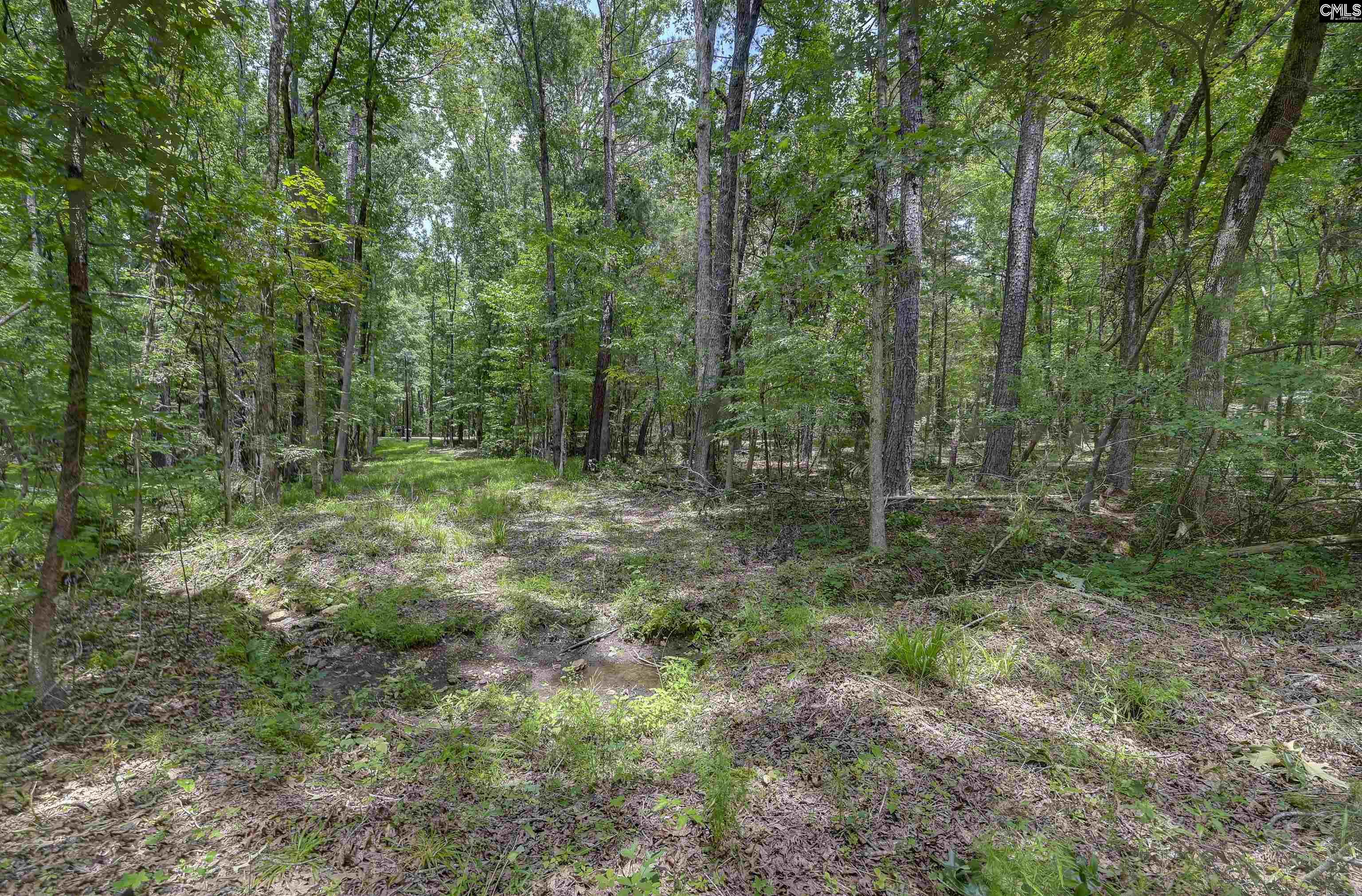 1208 Peacehaven Road Chapin, SC 29036