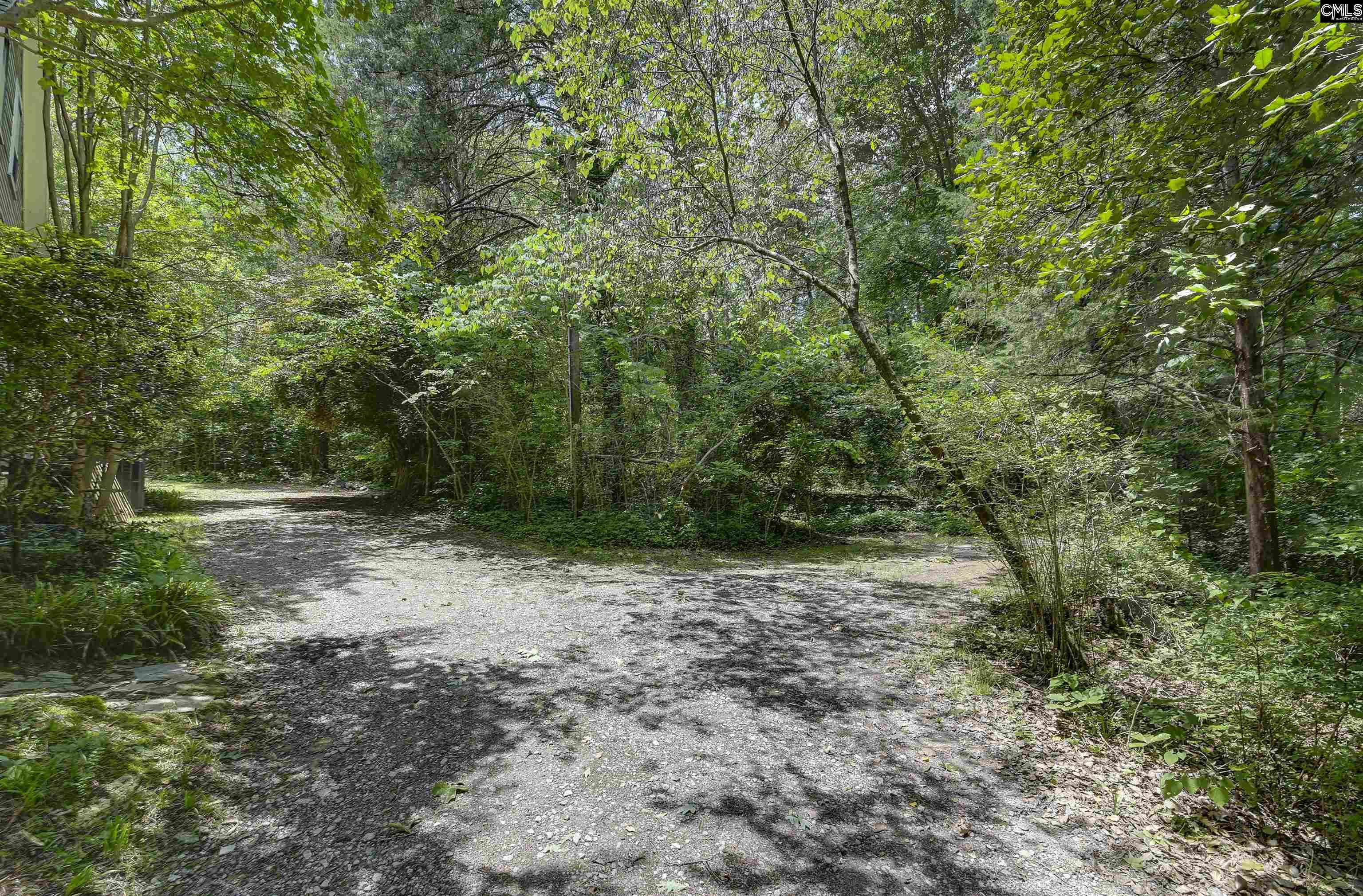 1208 Peacehaven Road Chapin, SC 29036