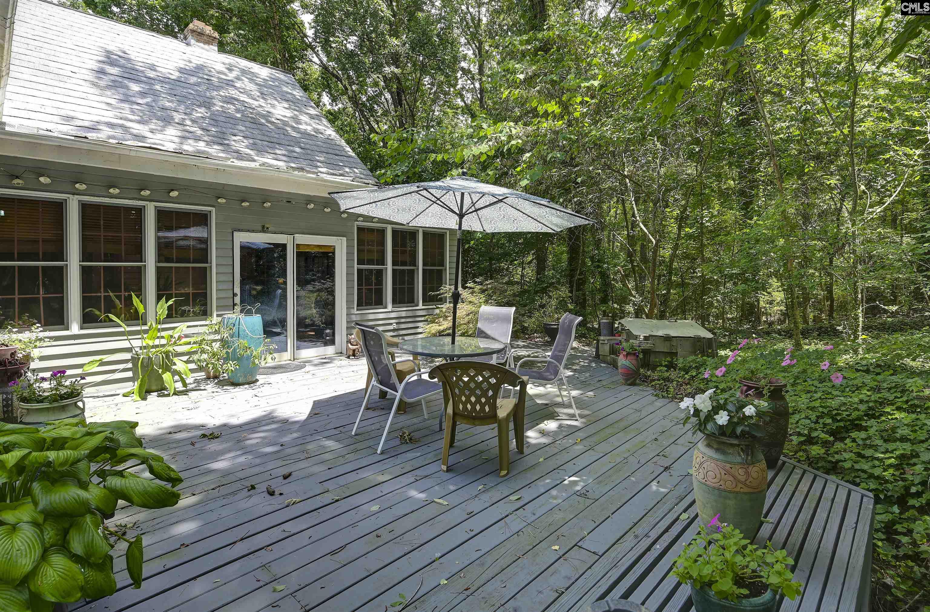 1208 Peacehaven Road Chapin, SC 29036