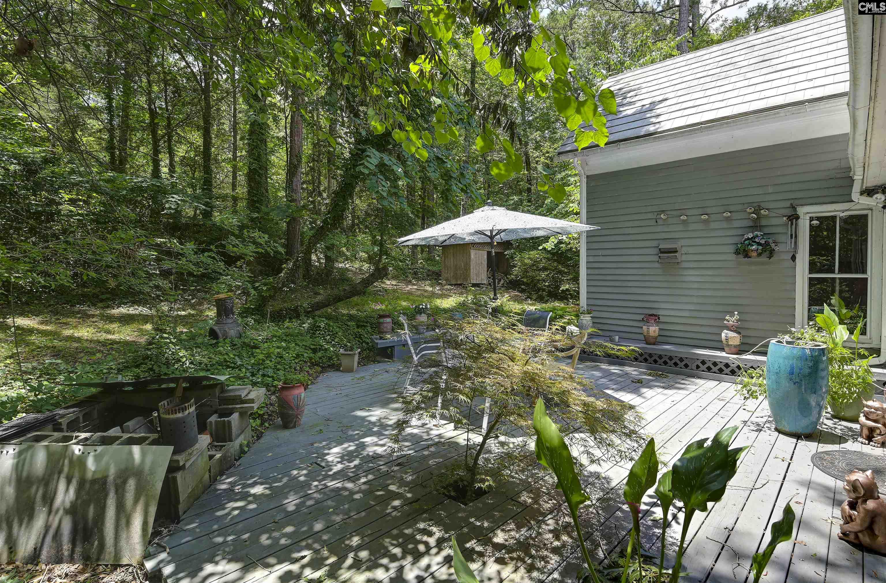 1208 Peacehaven Road Chapin, SC 29036