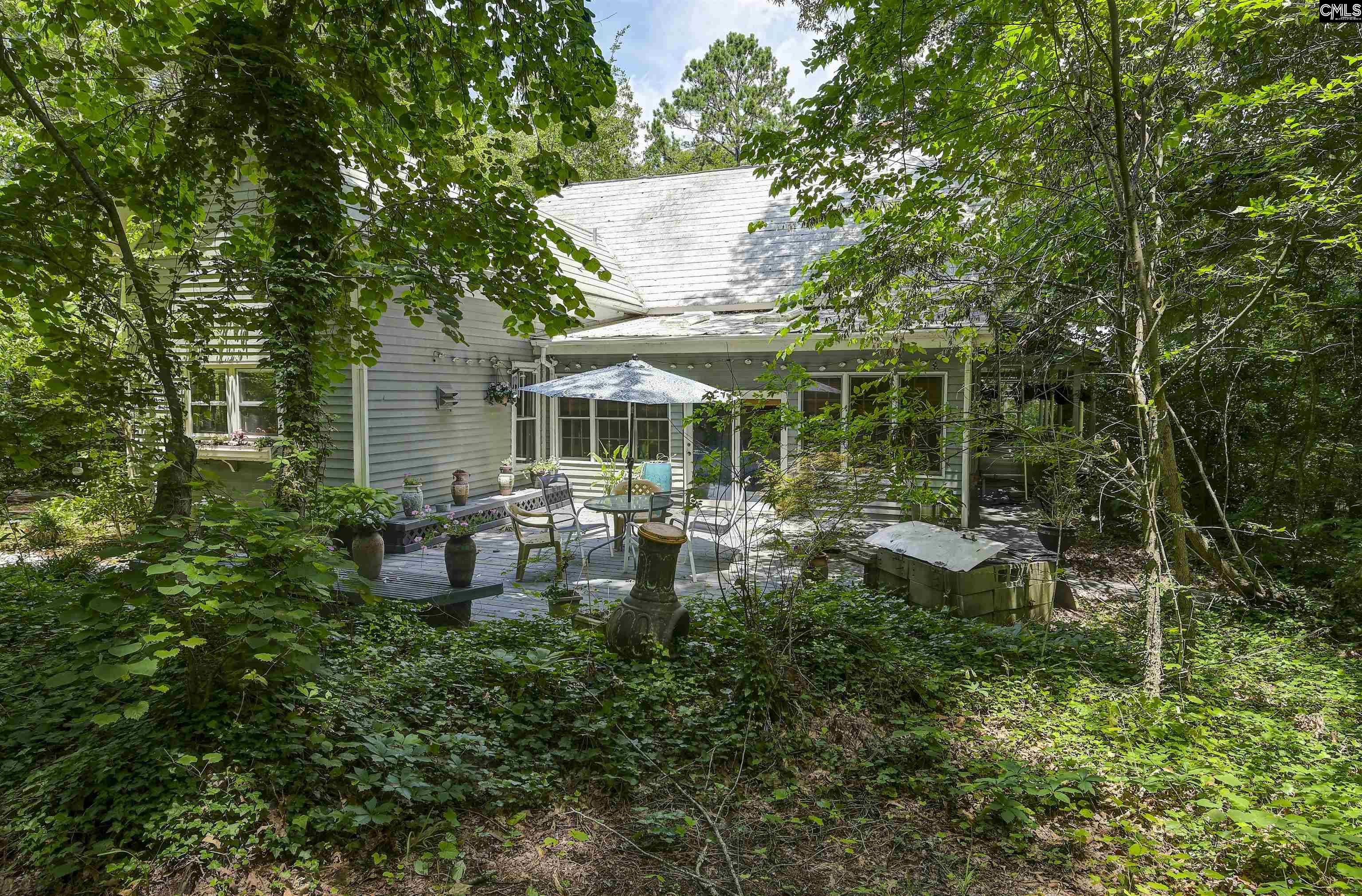 1208 Peacehaven Road Chapin, SC 29036
