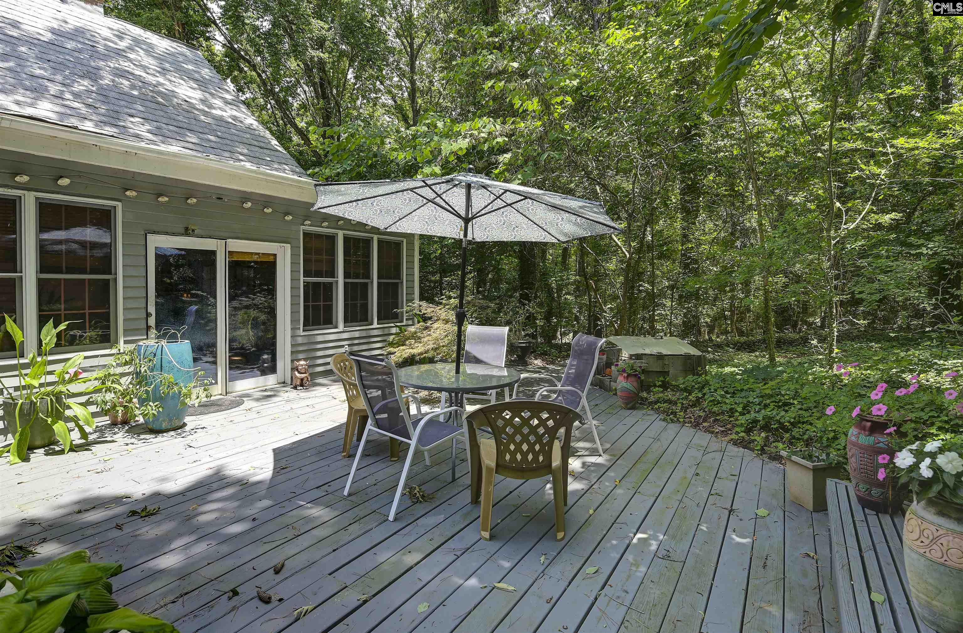 1208 Peacehaven Road Chapin, SC 29036