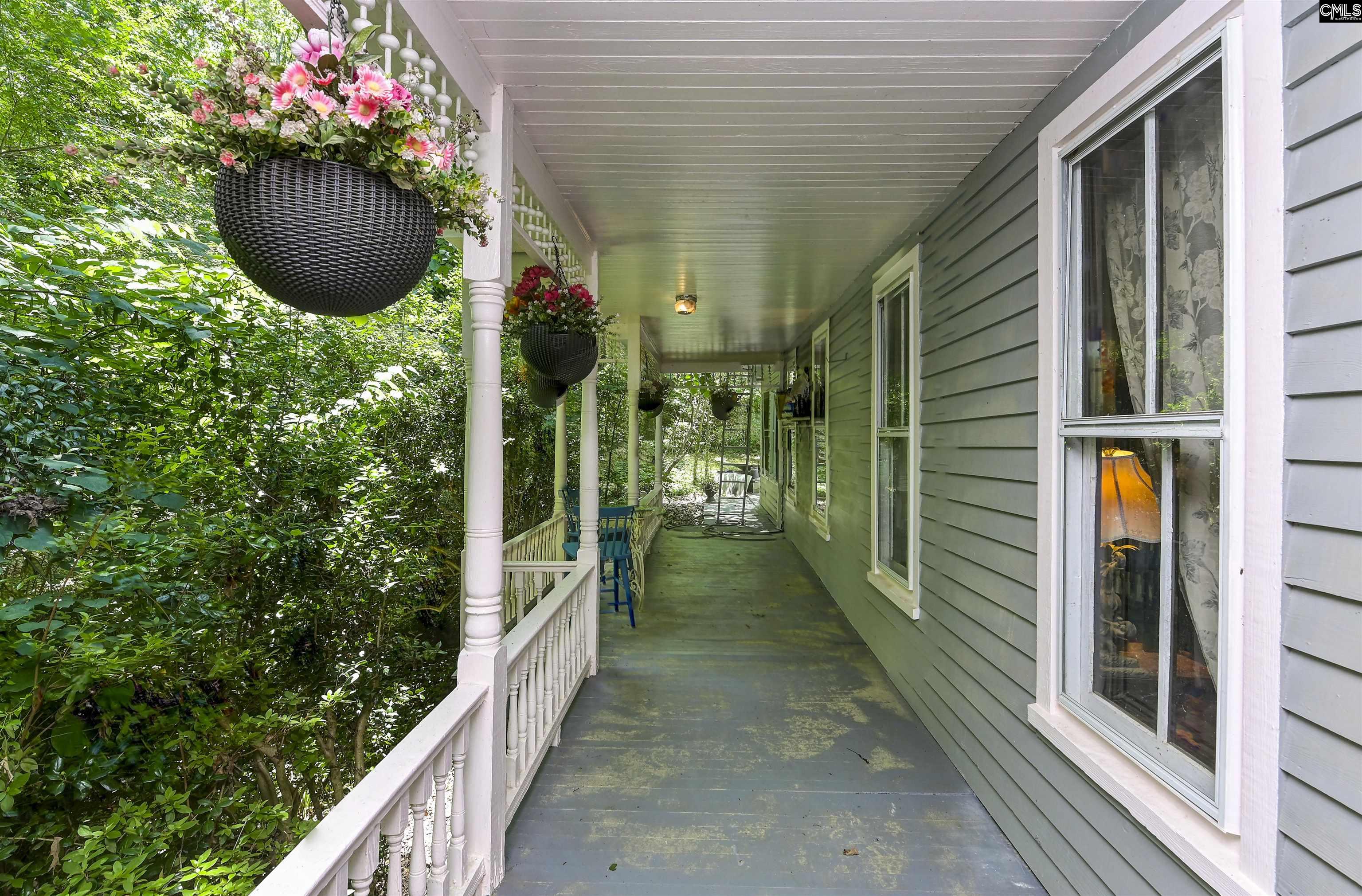1208 Peacehaven Road, Chapin, South Carolina image 7