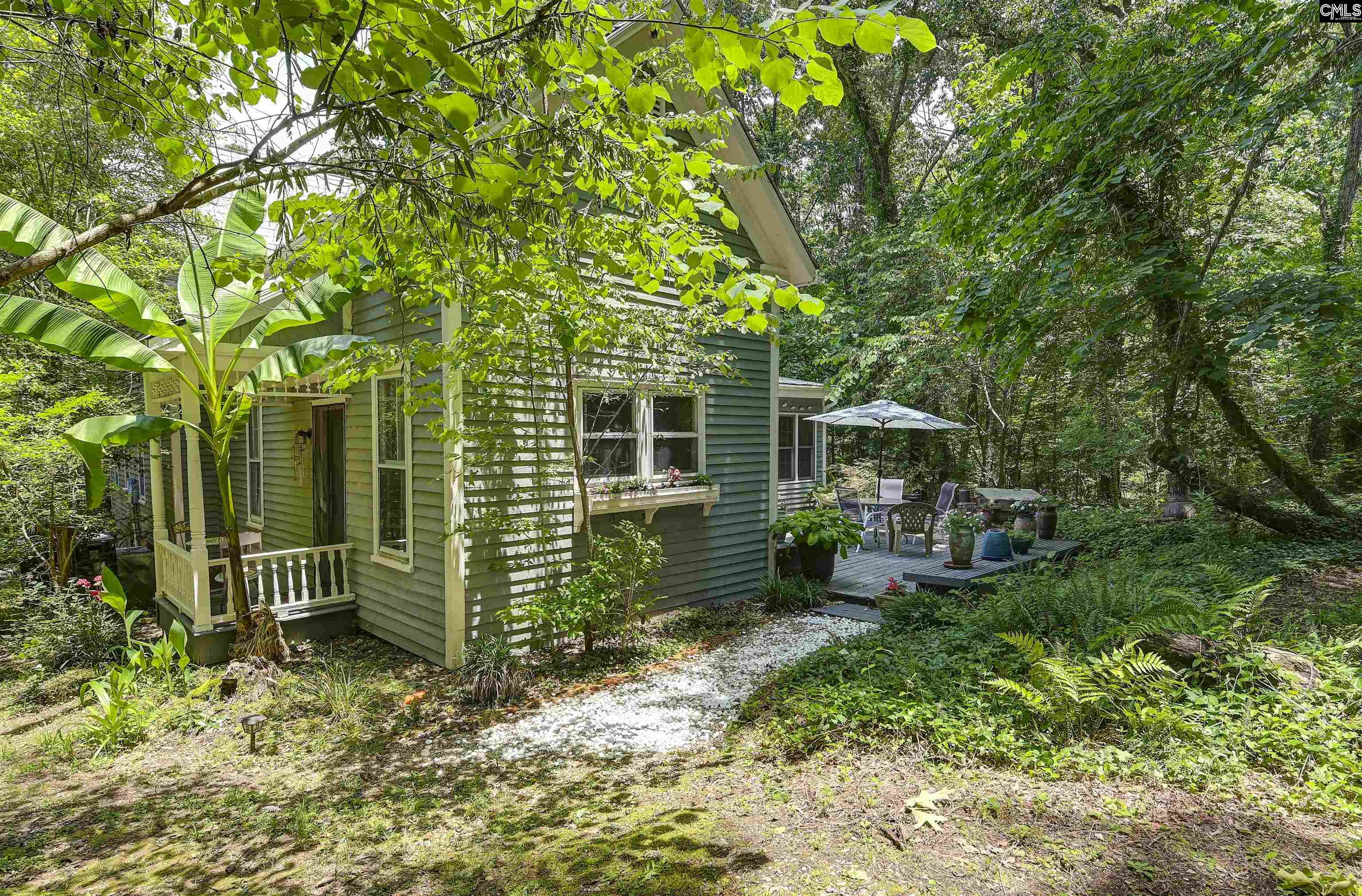 1208 Peacehaven Road Chapin, SC 29036