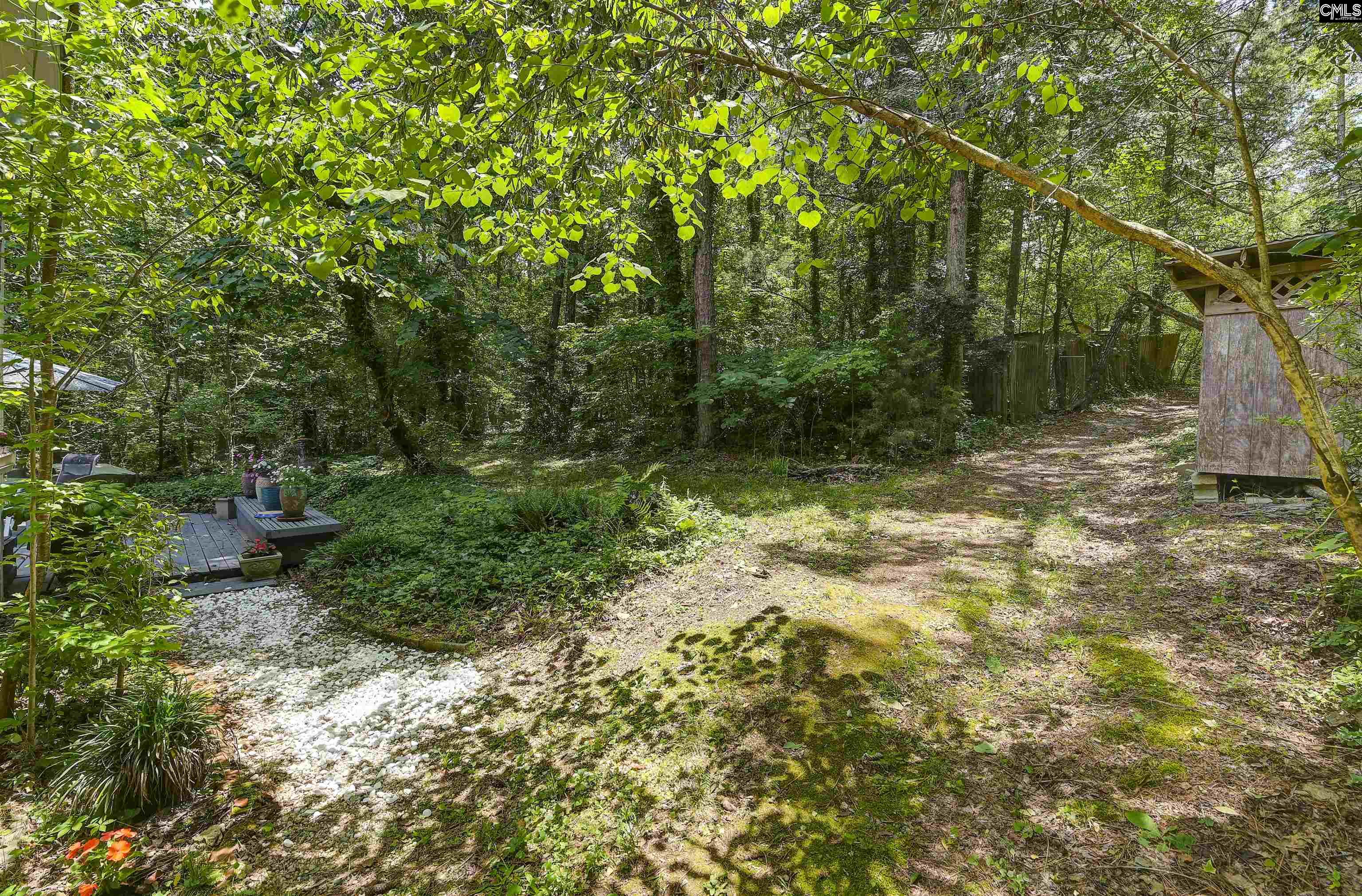 1208 Peacehaven Road Chapin, SC 29036