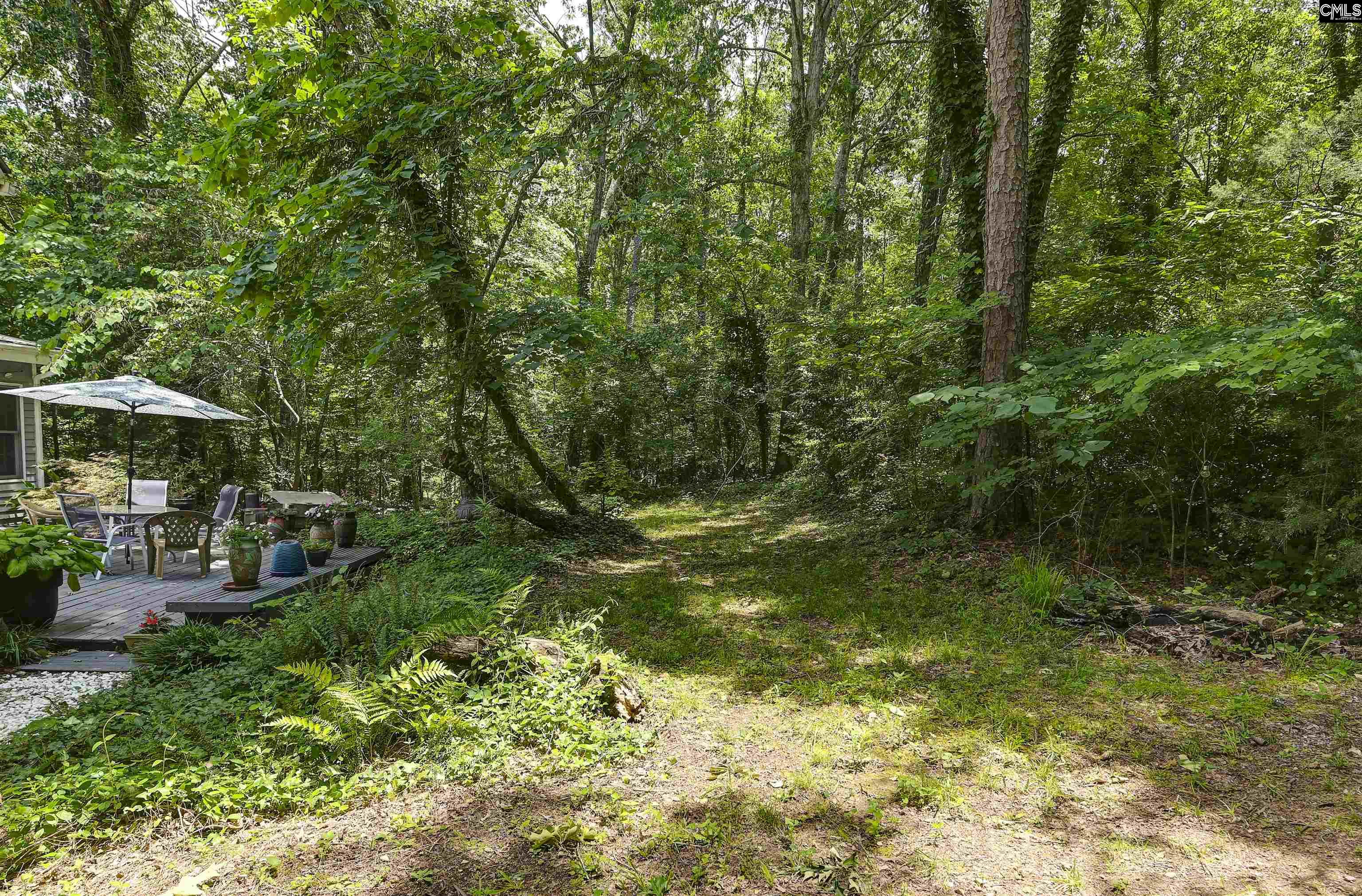 1208 Peacehaven Road Chapin, SC 29036