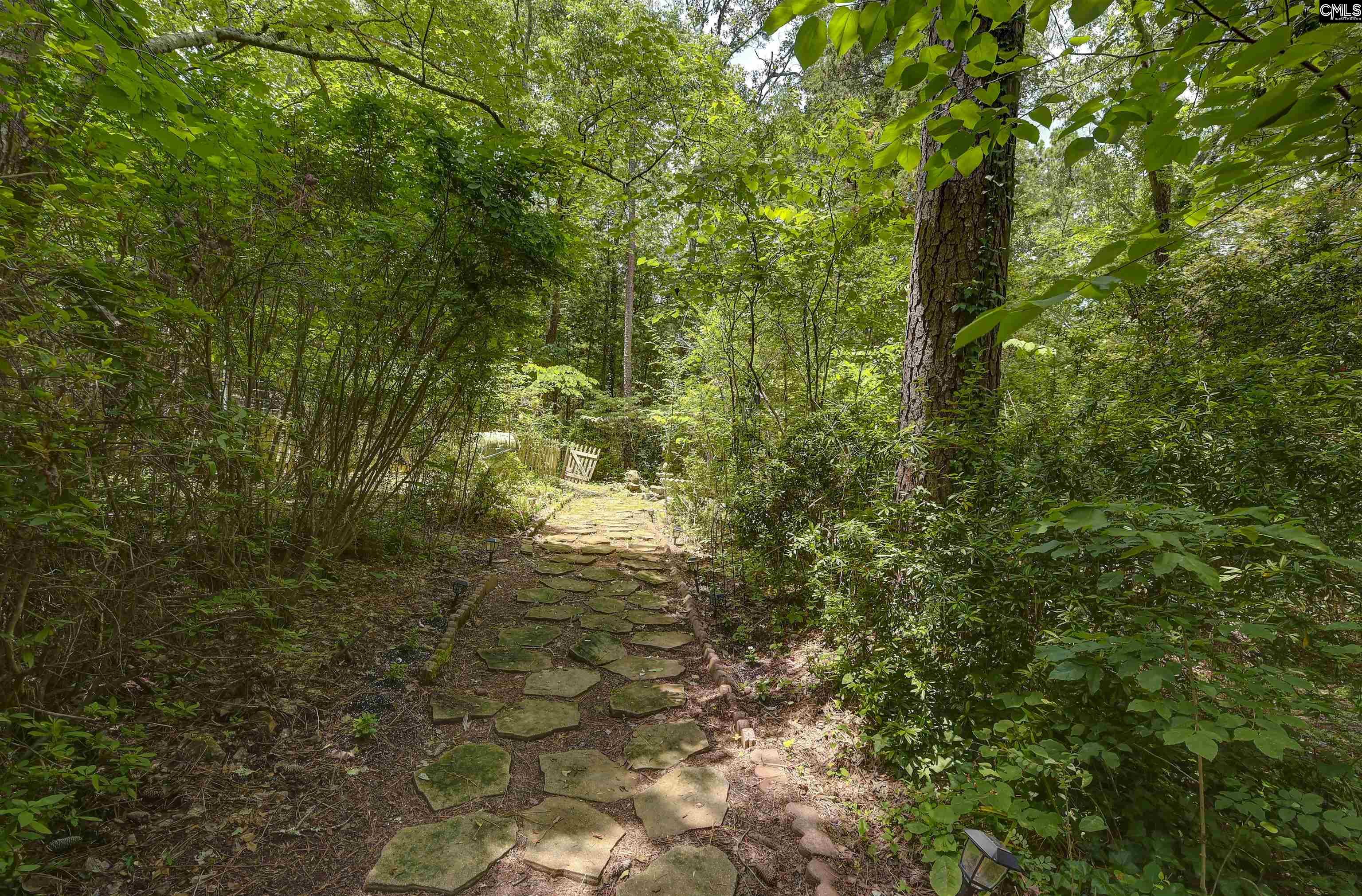 1208 Peacehaven Road Chapin, SC 29036