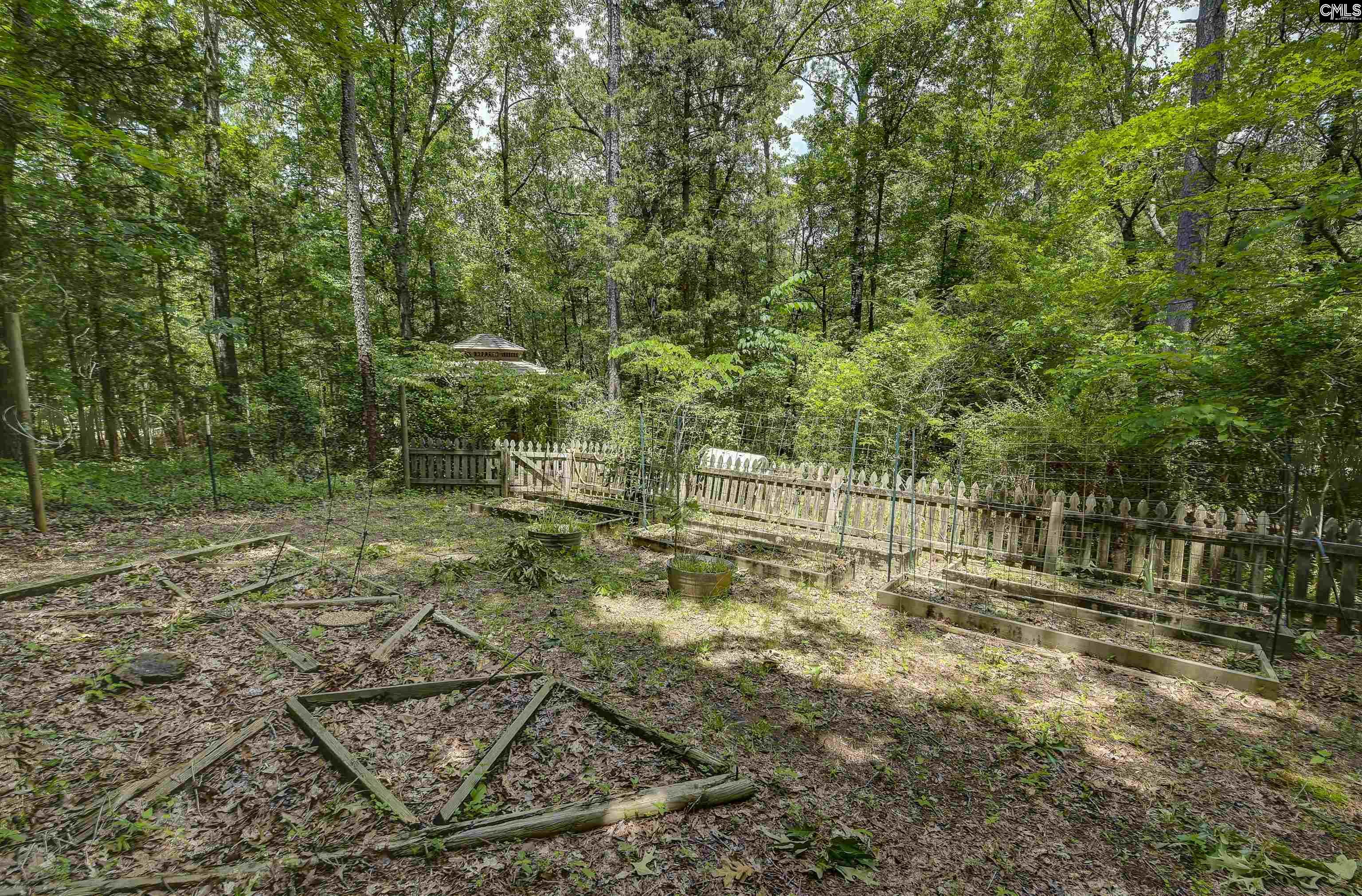 1208 Peacehaven Road Chapin, SC 29036