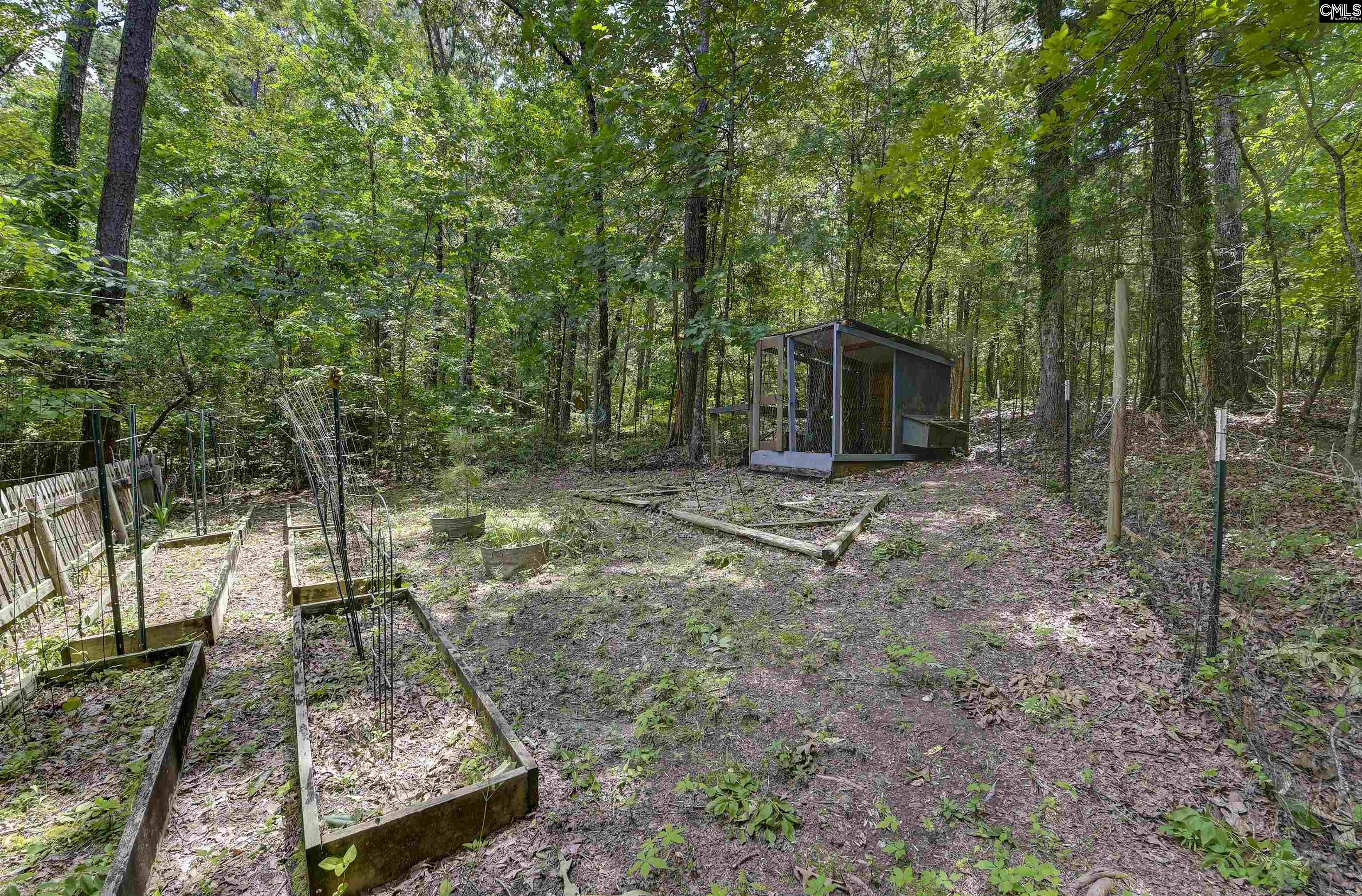 1208 Peacehaven Road Chapin, SC 29036