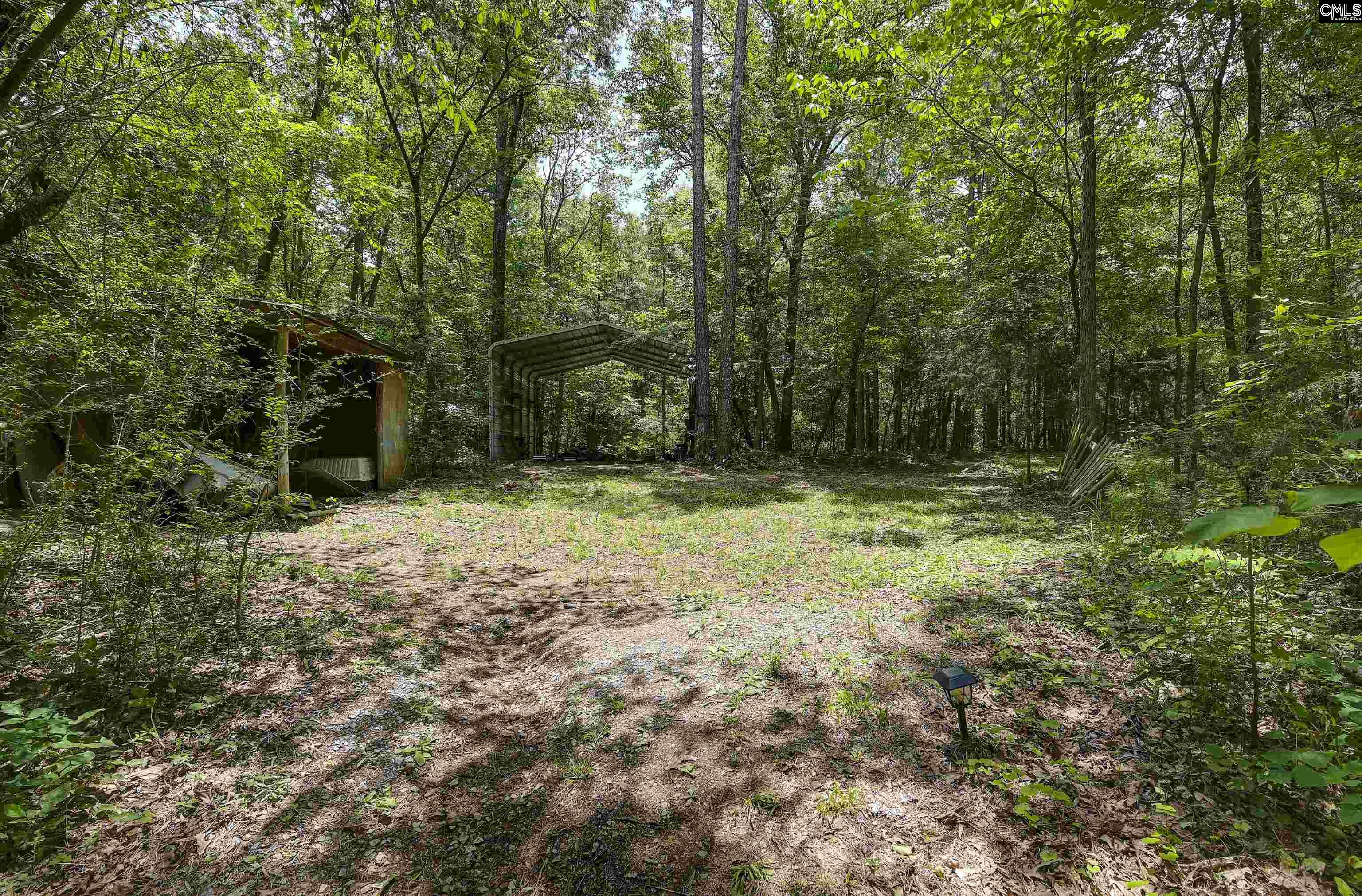 1208 Peacehaven Road Chapin, SC 29036