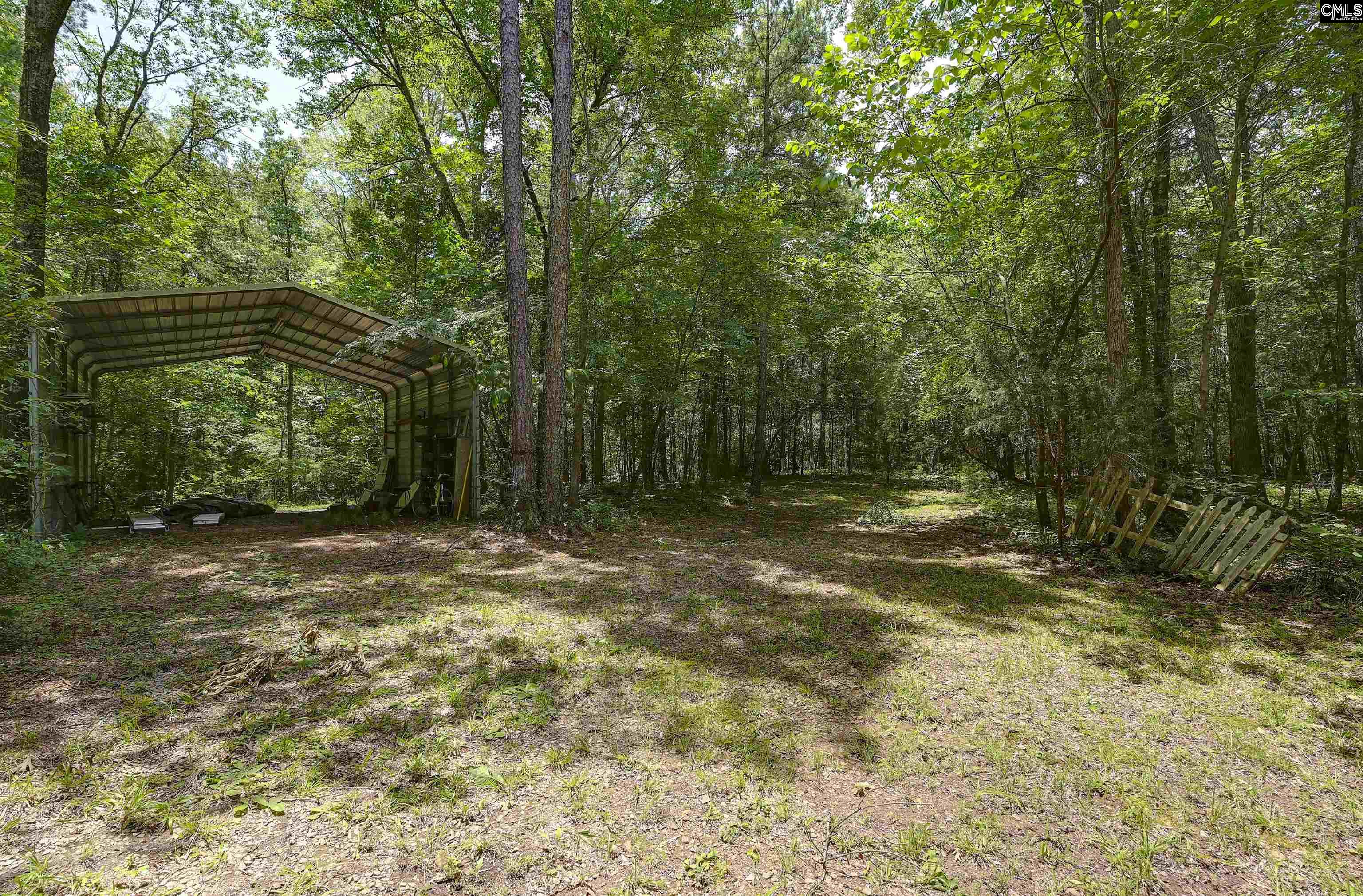 1208 Peacehaven Road Chapin, SC 29036