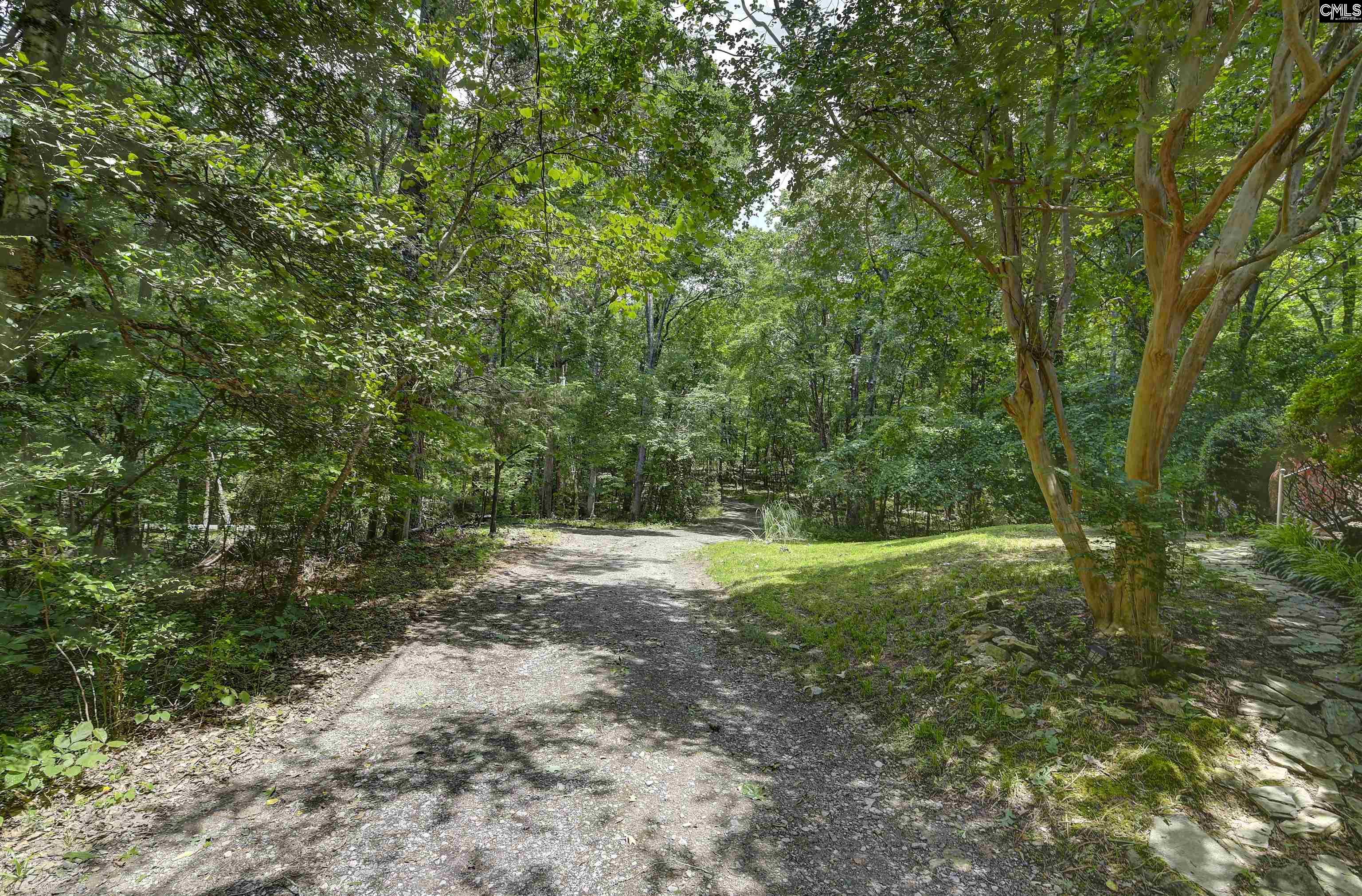 1208 Peacehaven Road Chapin, SC 29036
