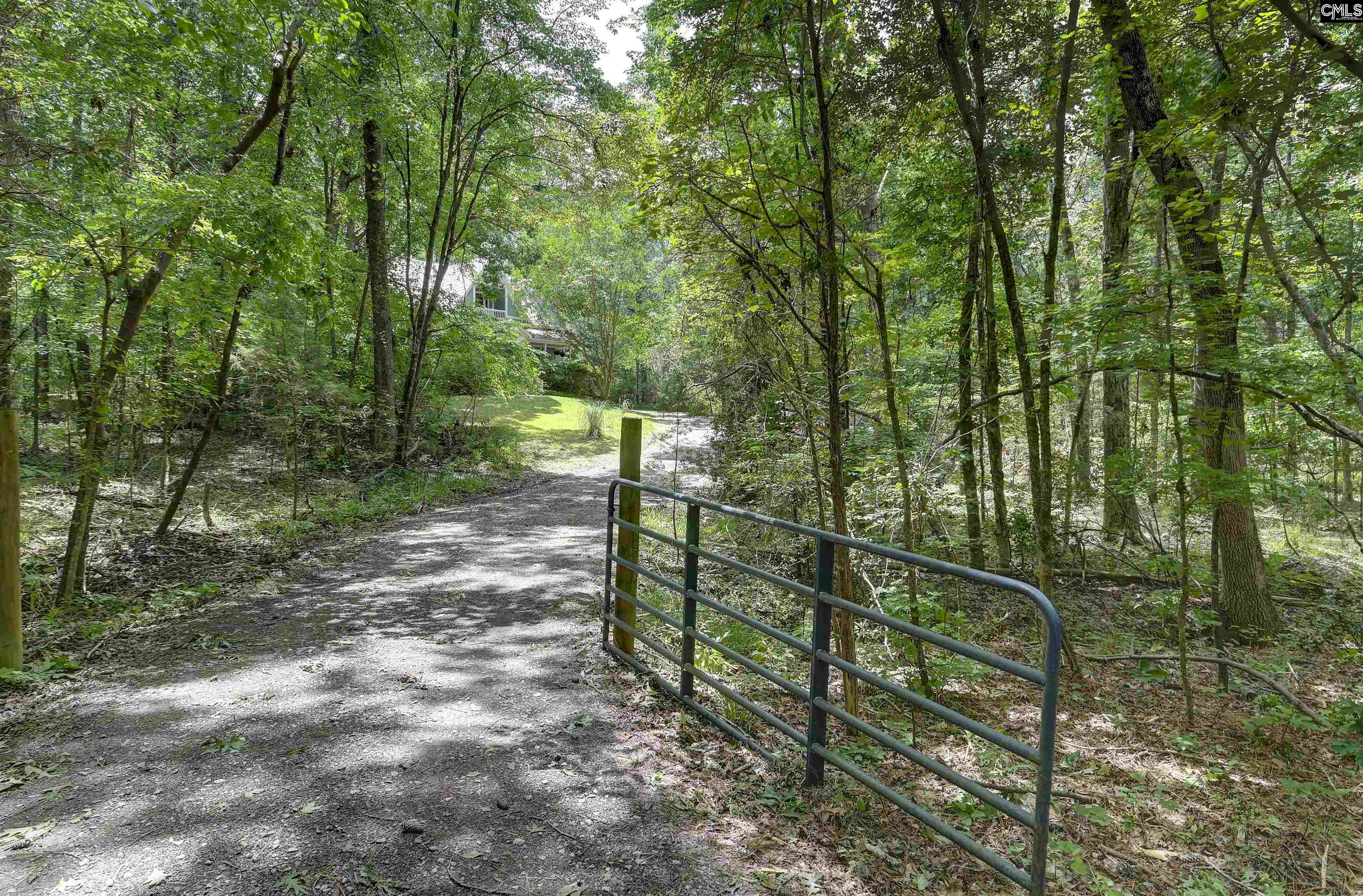 1208 Peacehaven Road Chapin, SC 29036
