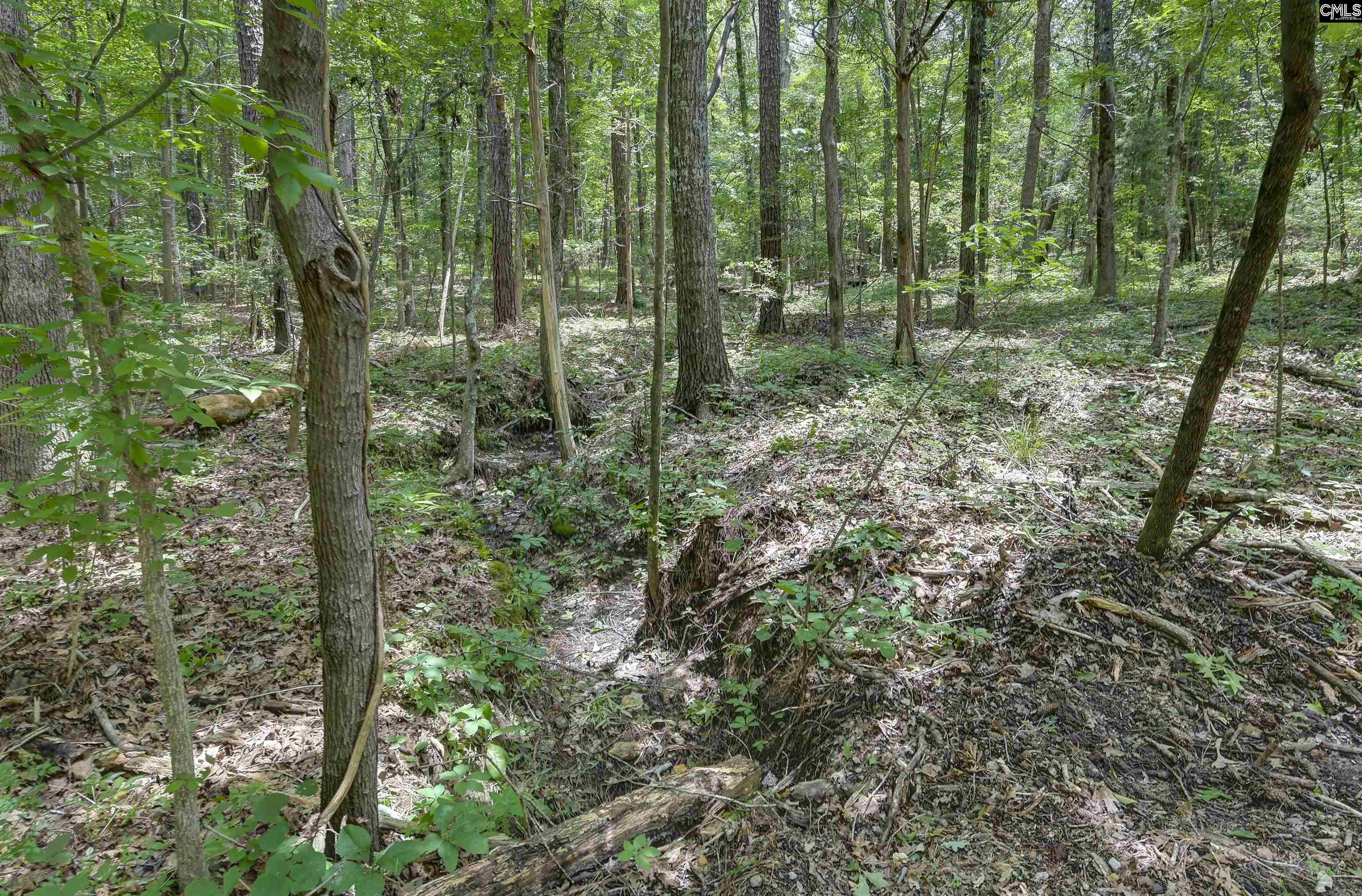 1208 Peacehaven Road Chapin, SC 29036