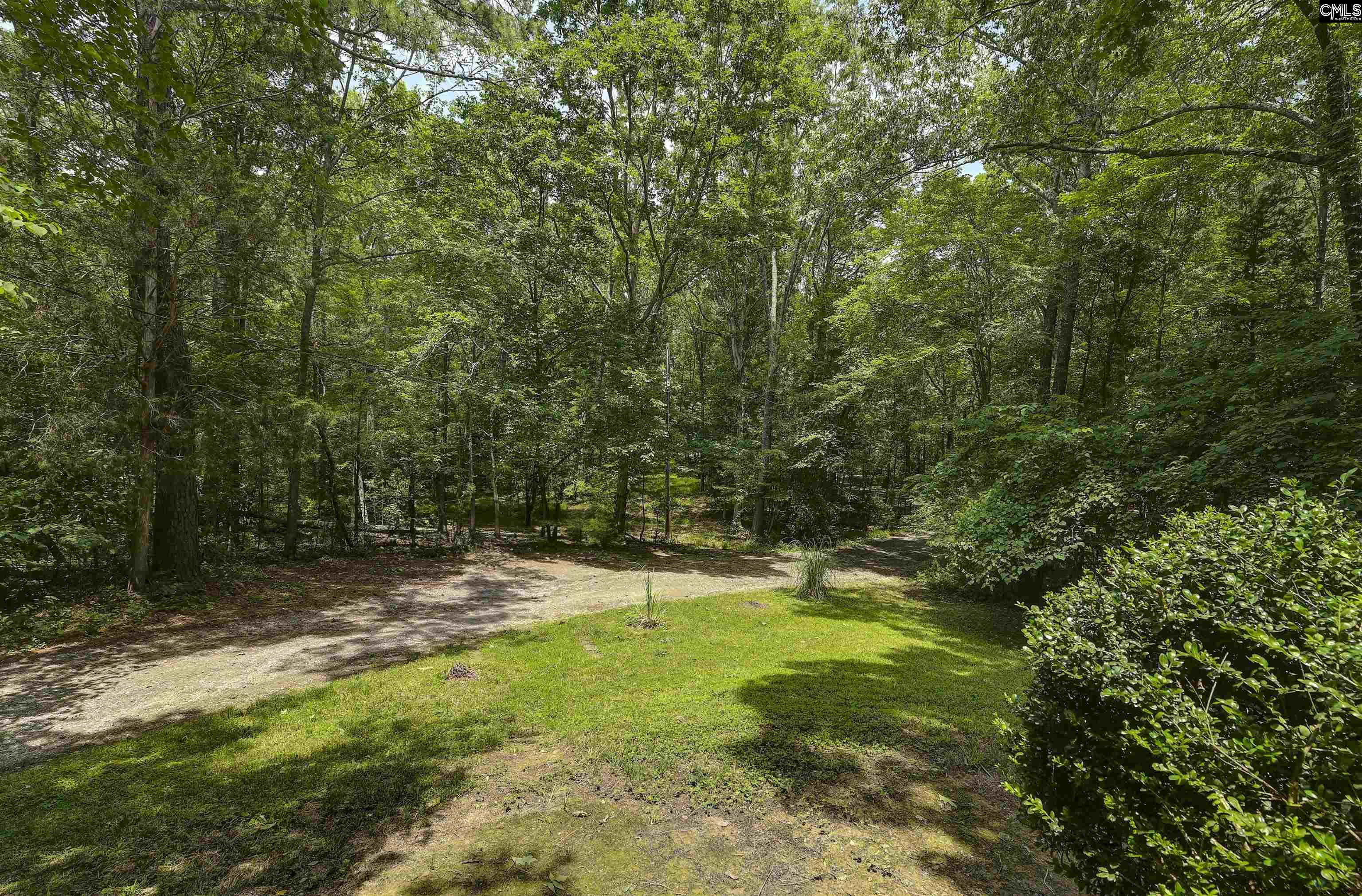 1208 Peacehaven Road Chapin, SC 29036