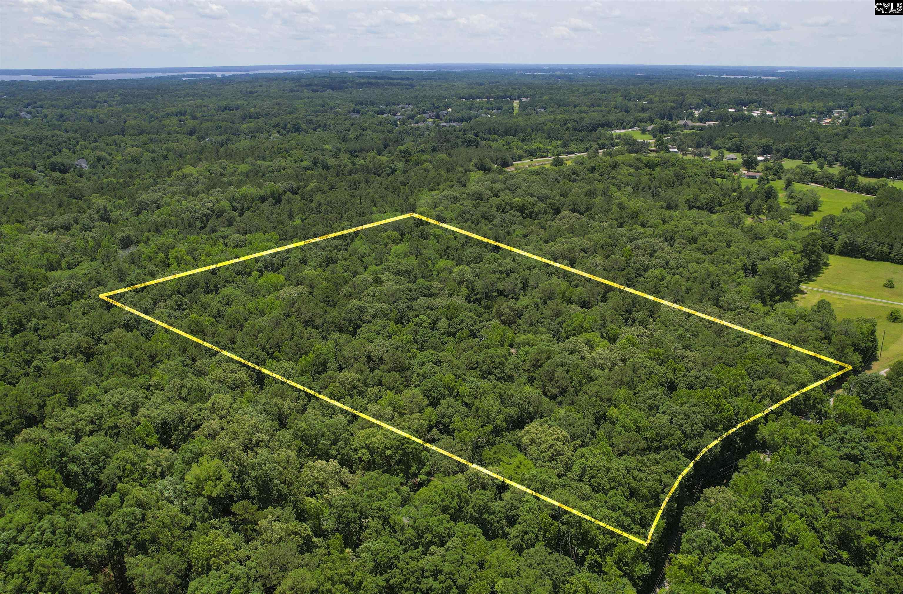 1208 Peacehaven Road Chapin, SC 29036