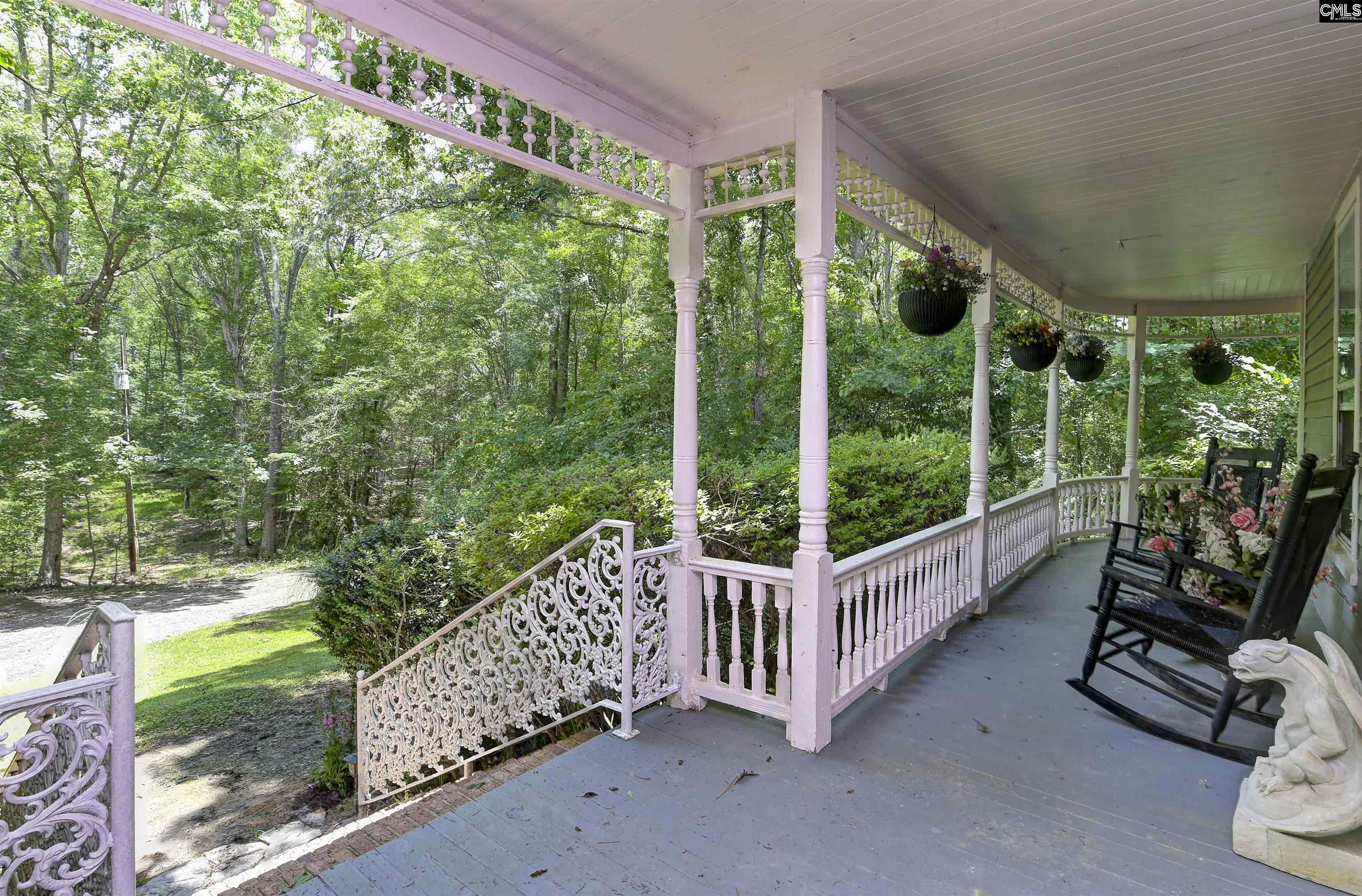 1208 Peacehaven Road, Chapin, South Carolina image 9