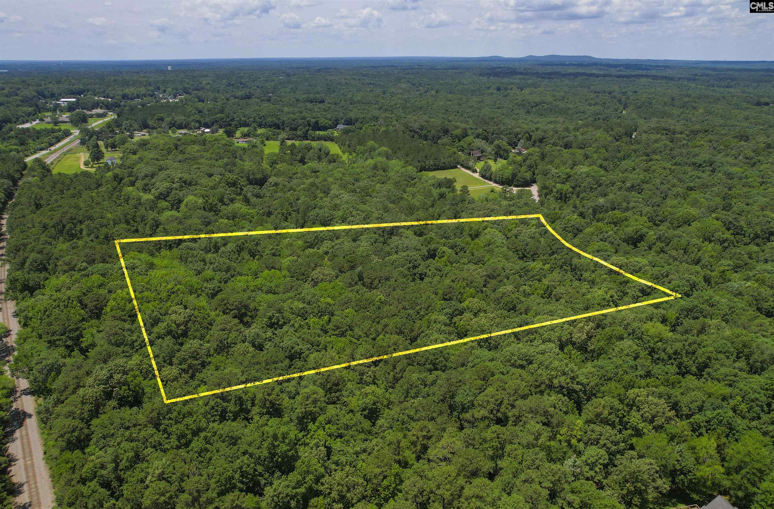 1208 Peacehaven Road Chapin, SC 29036