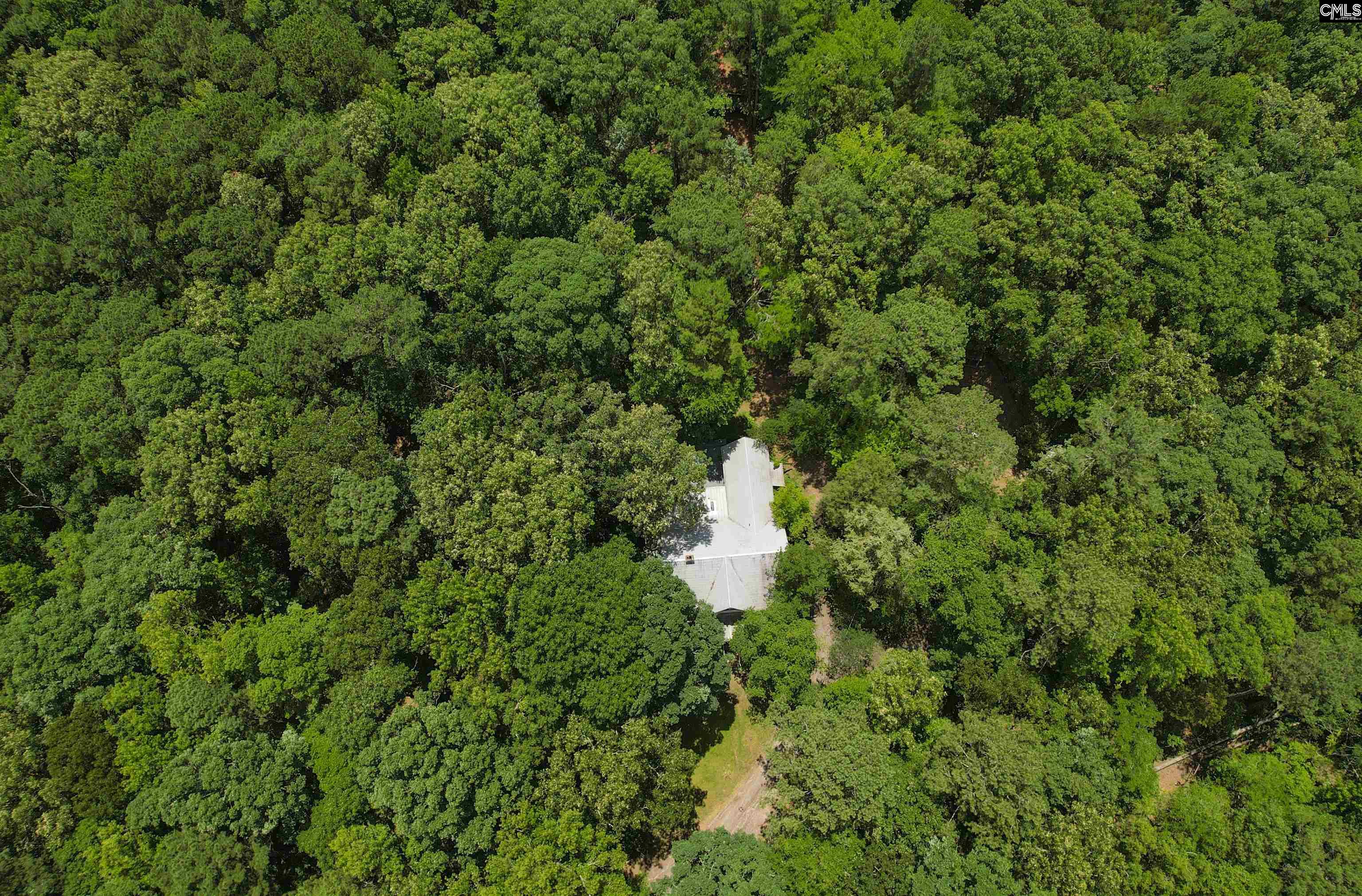 1208 Peacehaven Road Chapin, SC 29036