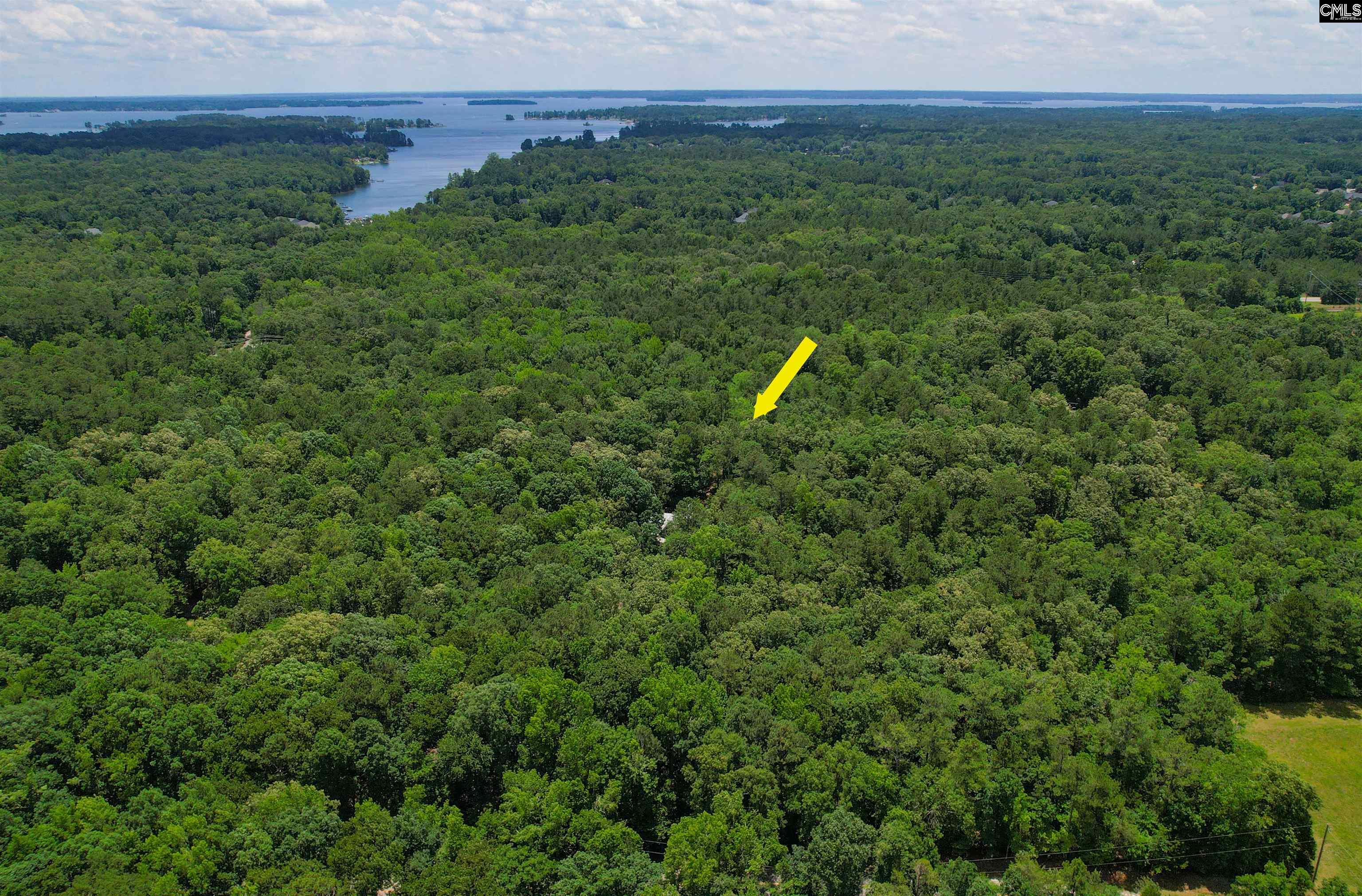 1208 Peacehaven Road Chapin, SC 29036