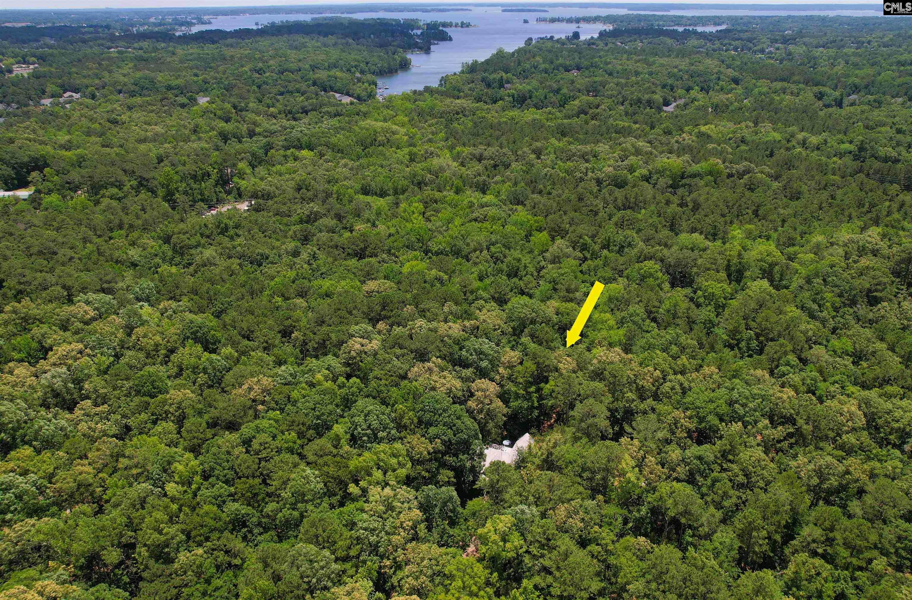 1208 Peacehaven Road Chapin, SC 29036