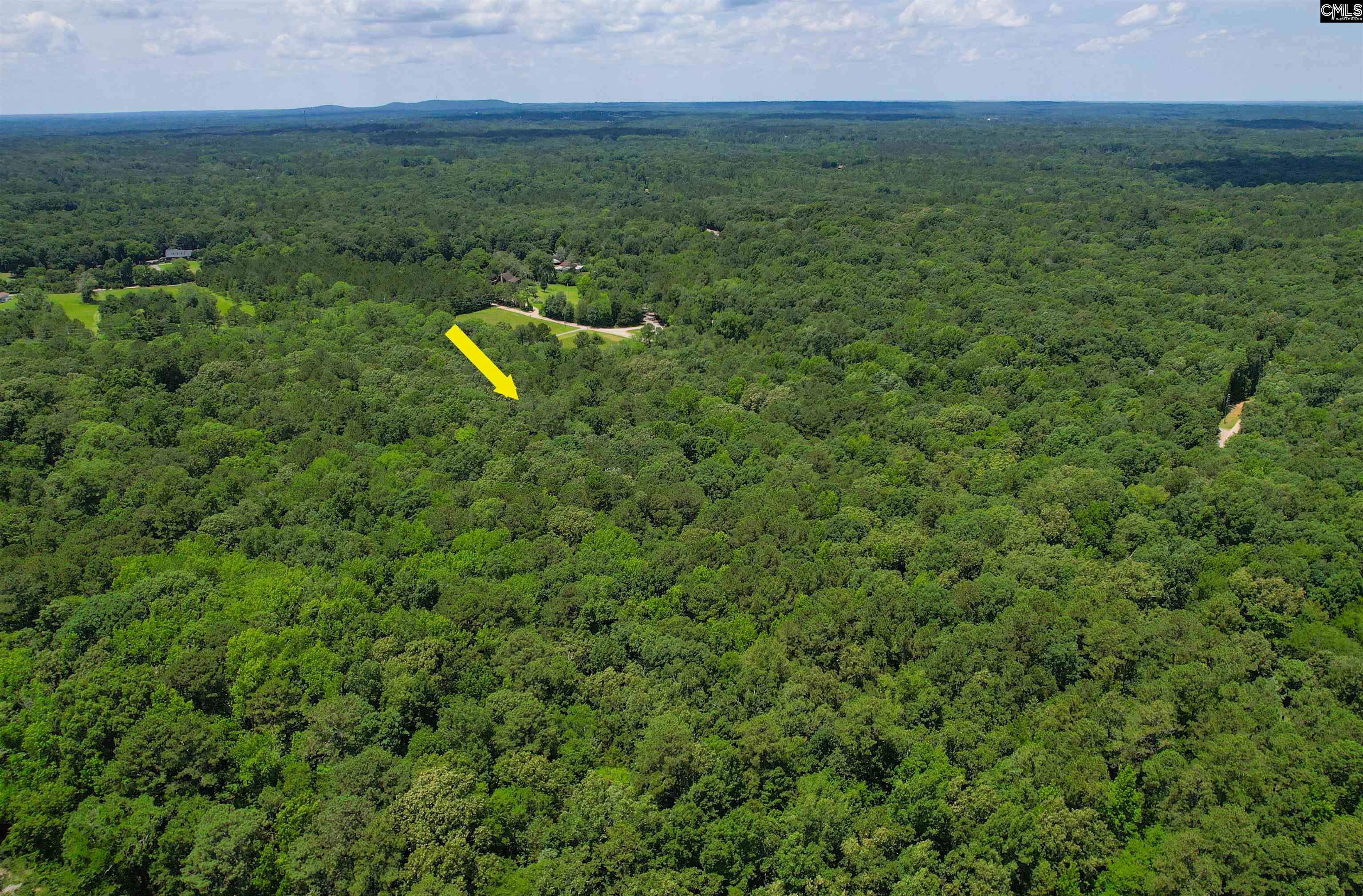 1208 Peacehaven Road Chapin, SC 29036