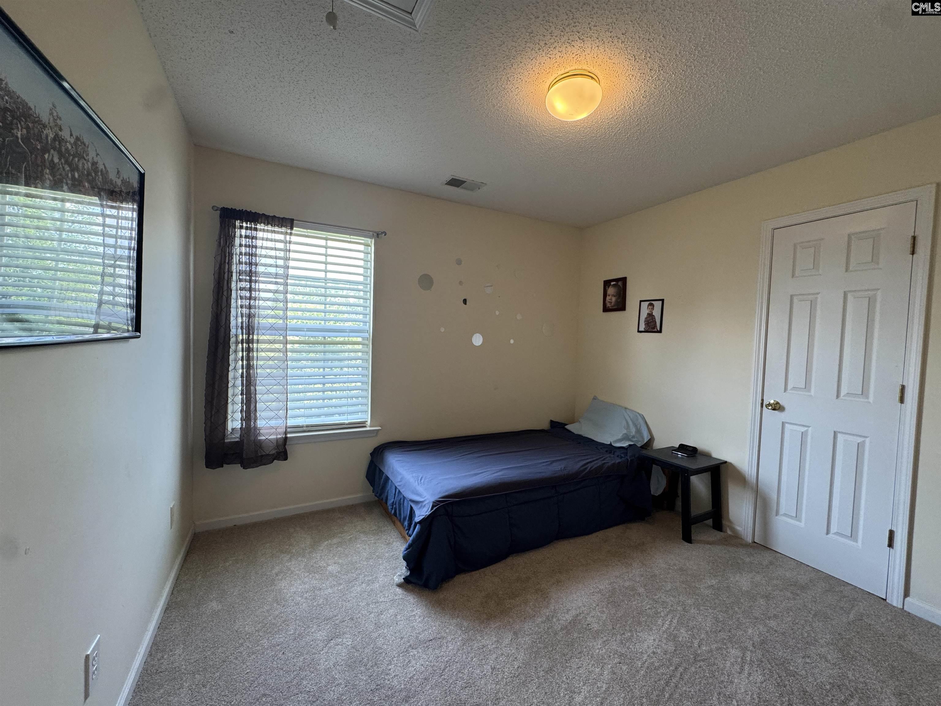 131 Torreyglen Drive, Lexington, South Carolina image 11