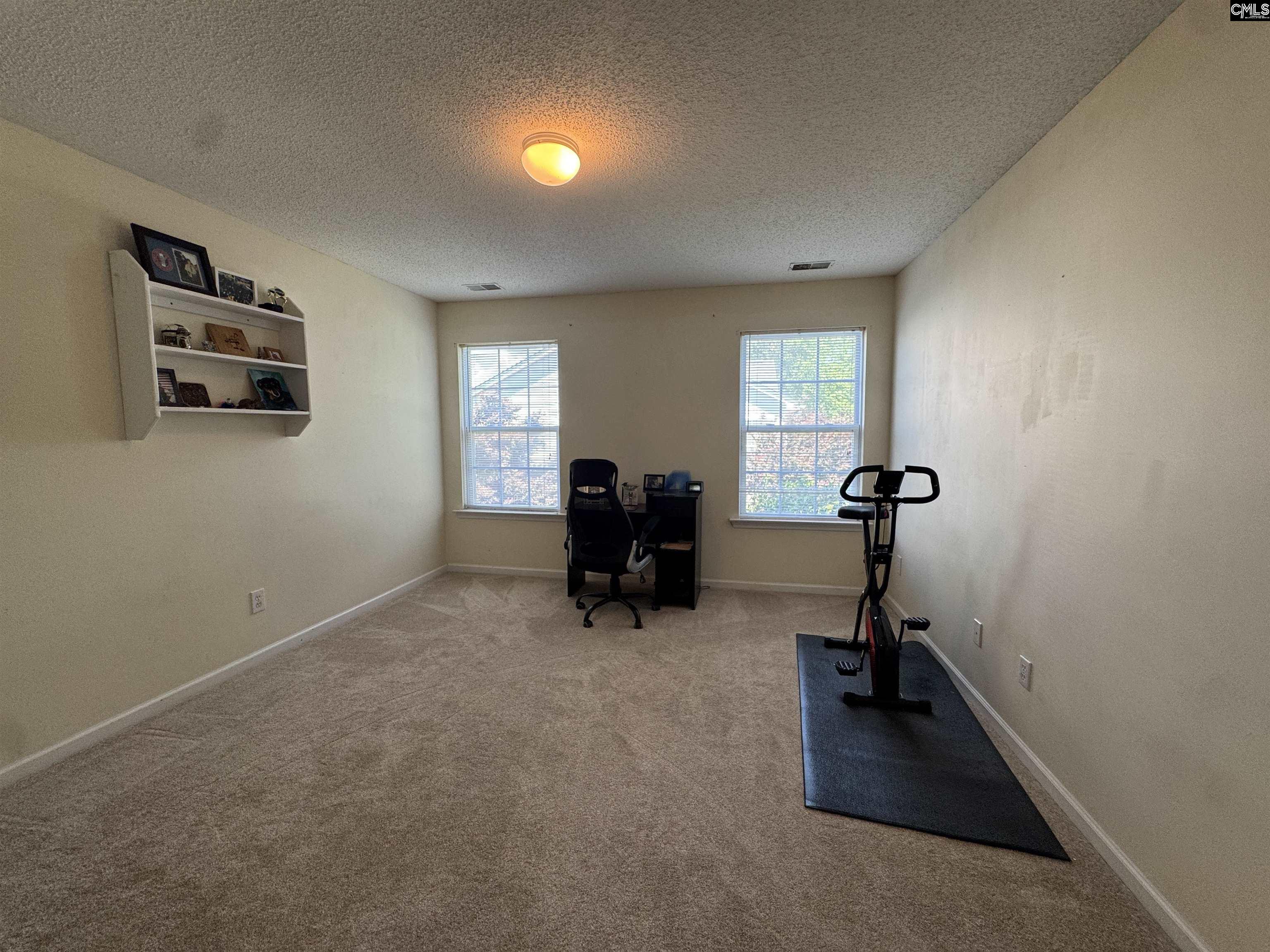 131 Torreyglen Drive, Lexington, South Carolina image 13