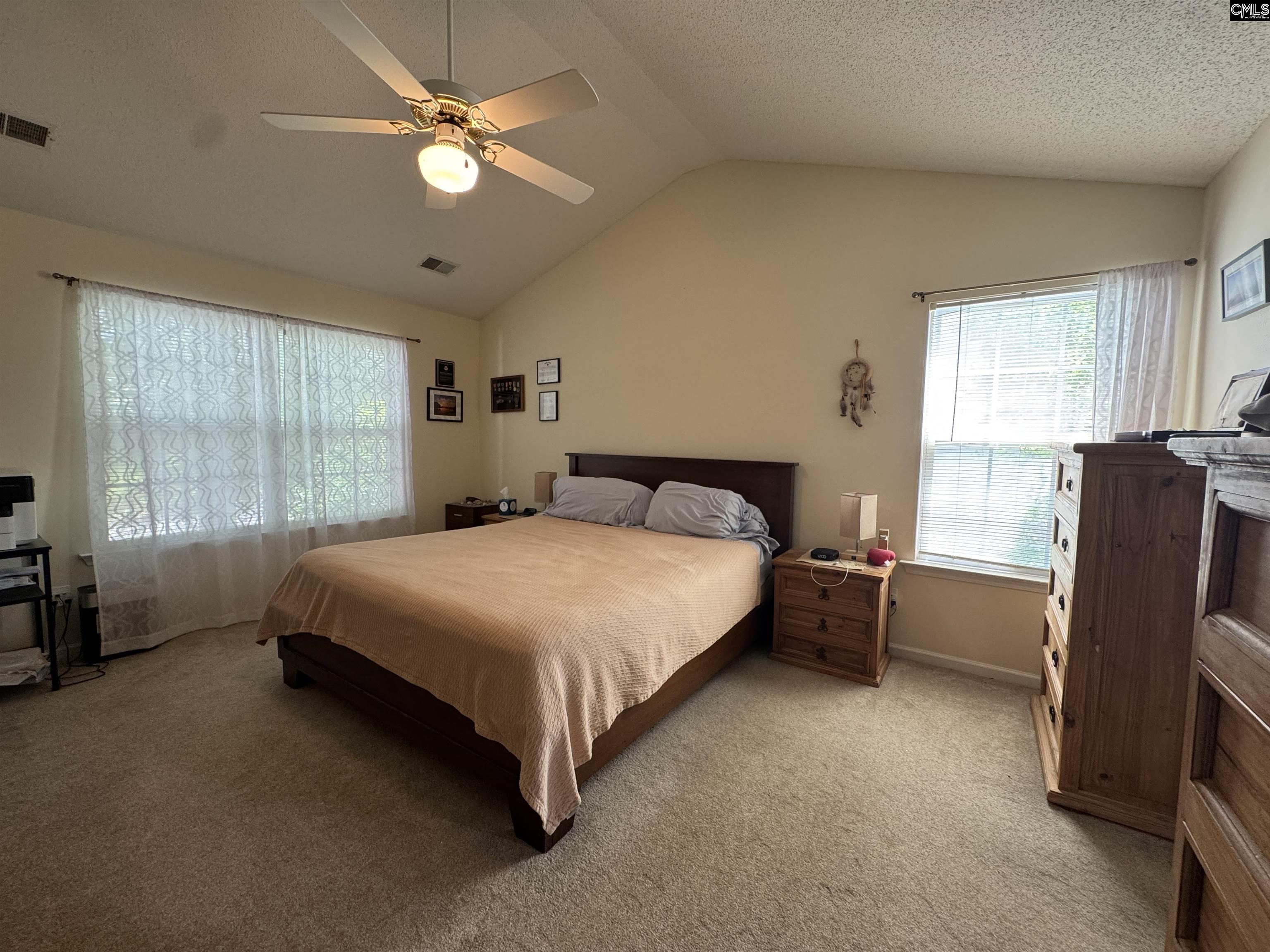 131 Torreyglen Drive, Lexington, South Carolina image 7
