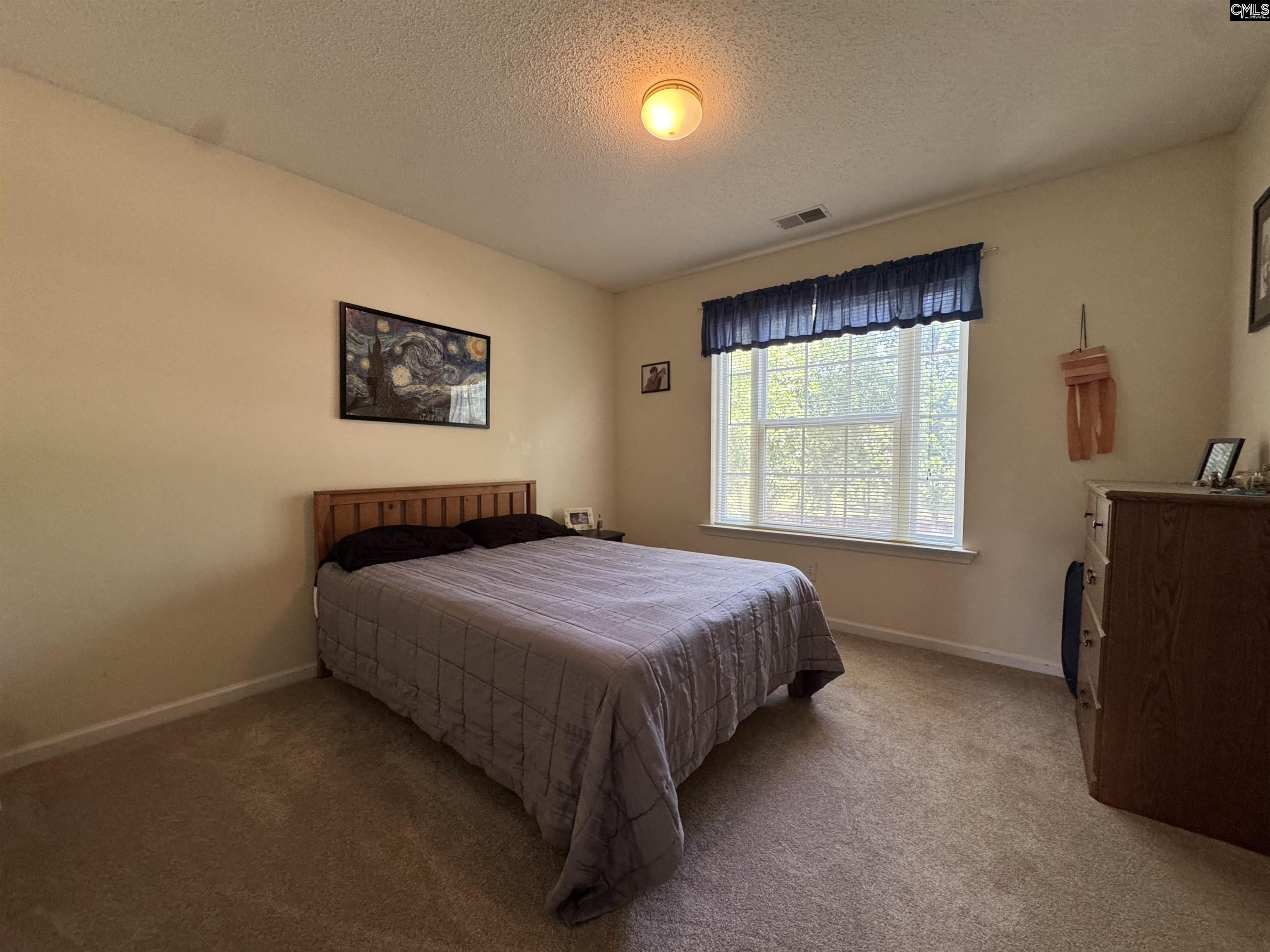 131 Torreyglen Drive, Lexington, South Carolina image 10