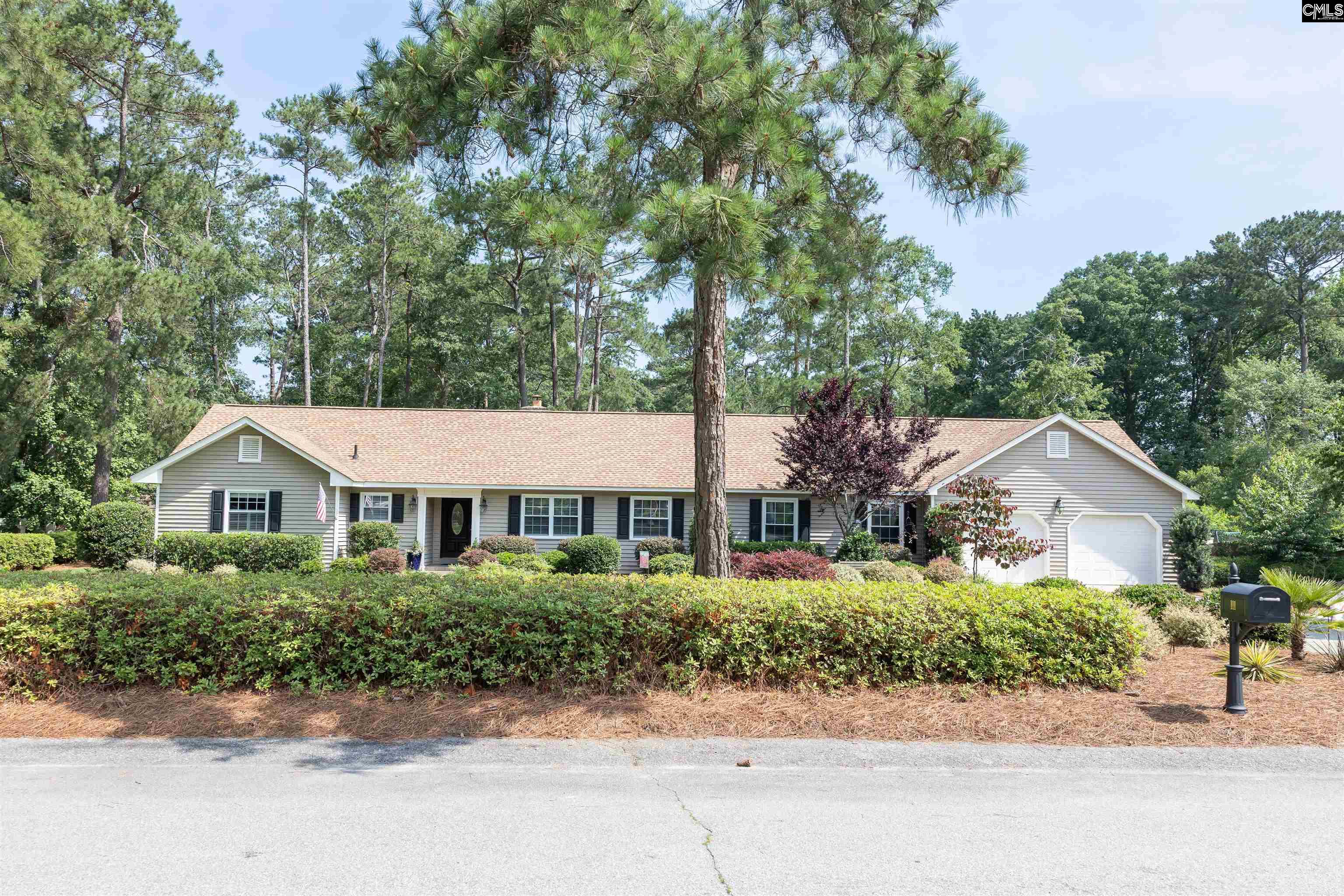 111 Smith Street, Lexington, South Carolina image 2