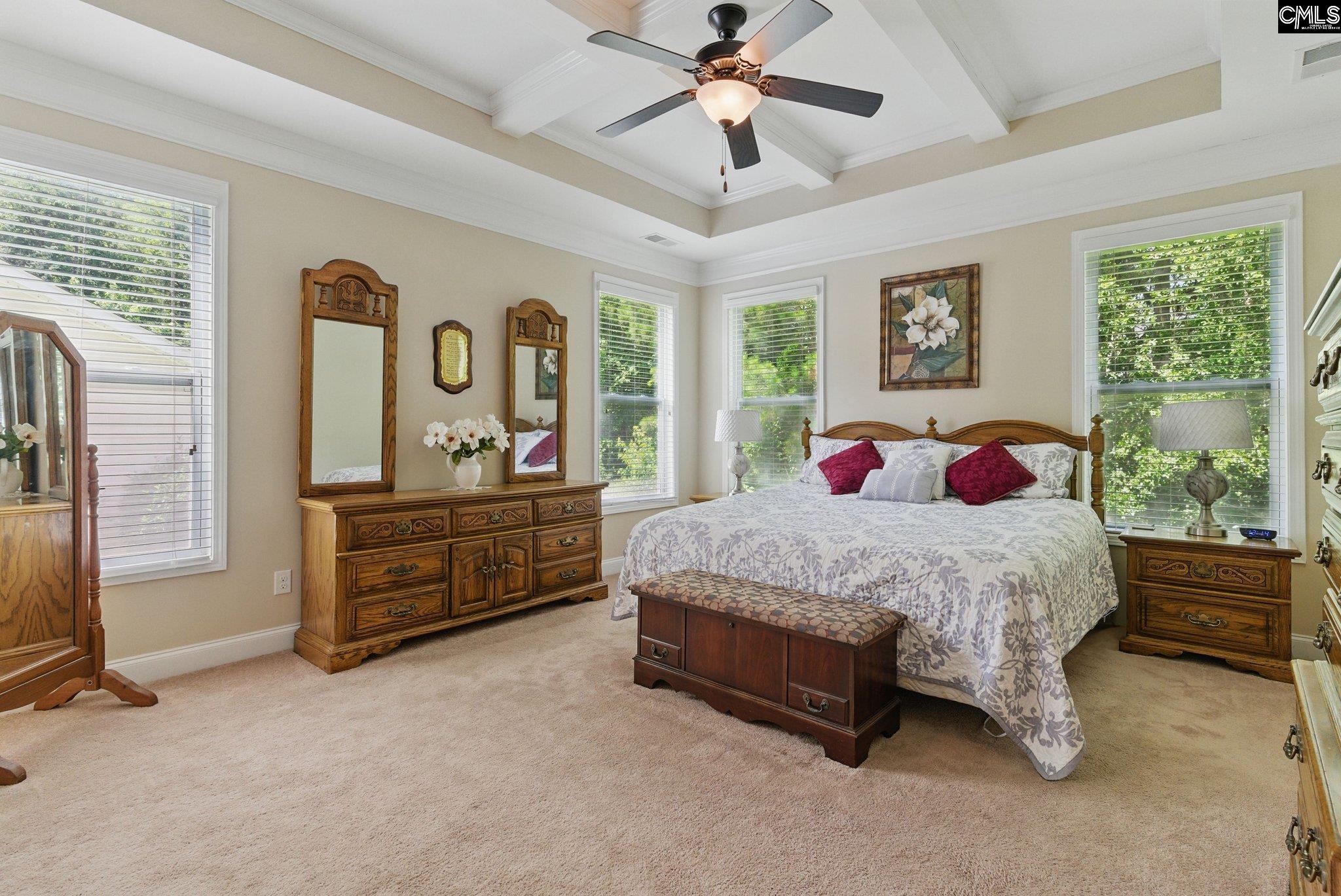 305 Explorer Drive, Chapin, South Carolina image 17