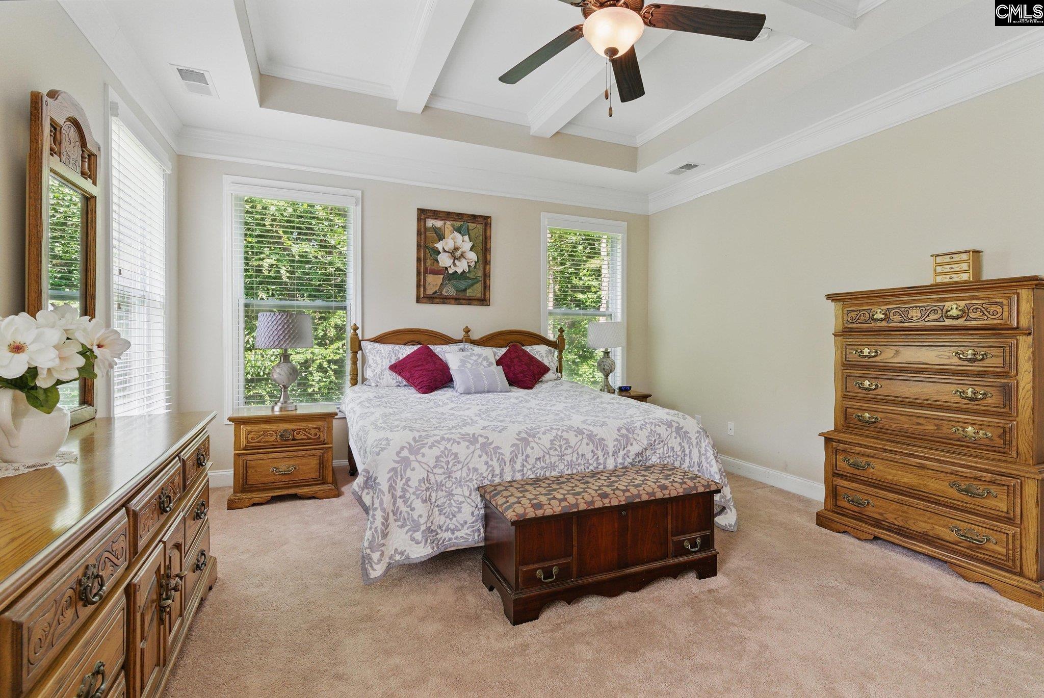 305 Explorer Drive, Chapin, South Carolina image 18
