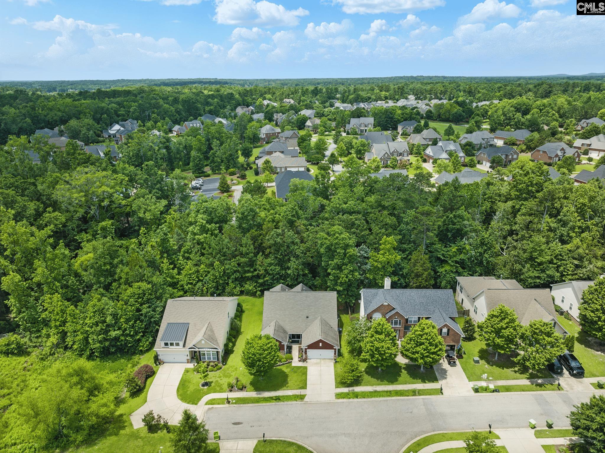 305 Explorer Drive, Chapin, South Carolina image 3