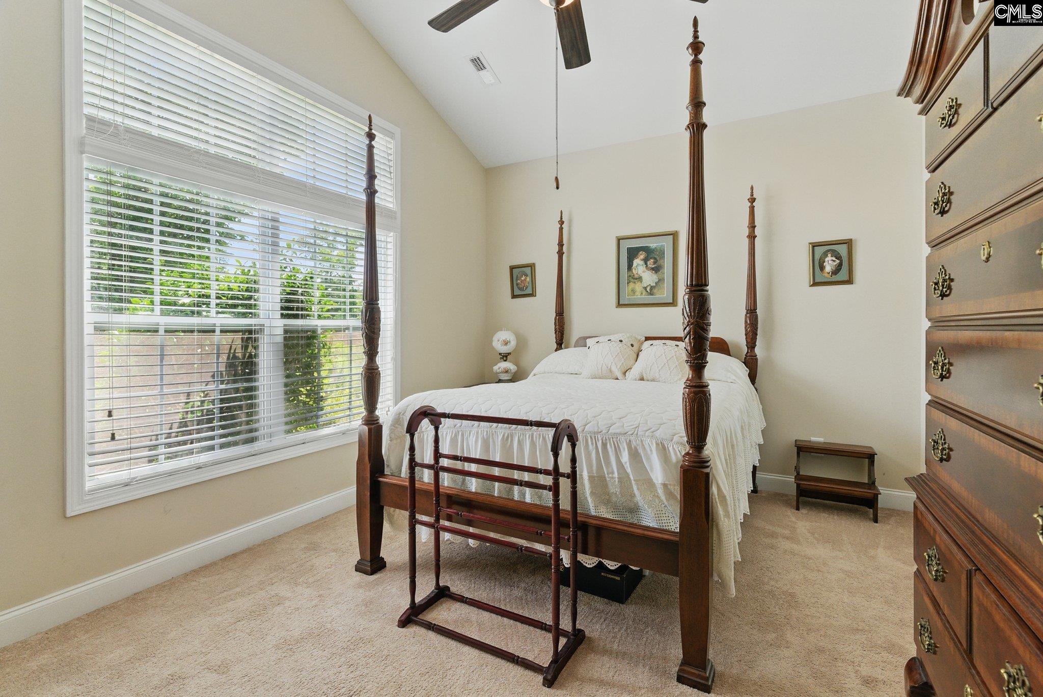 305 Explorer Drive, Chapin, South Carolina image 26