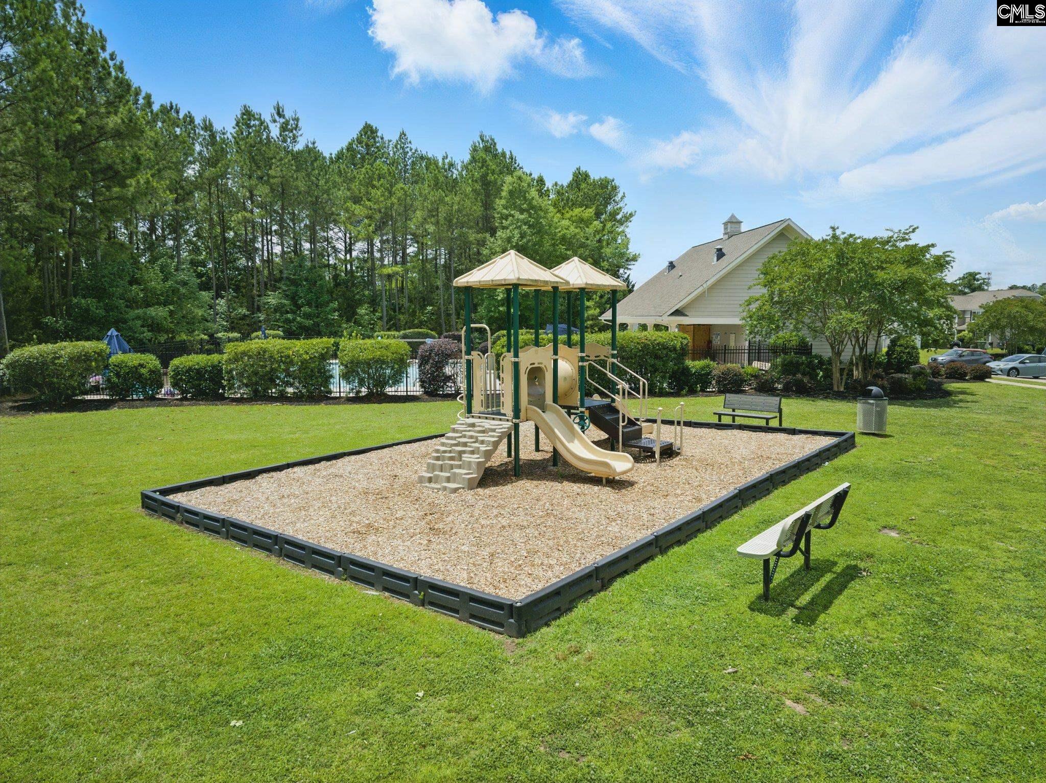 305 Explorer Drive, Chapin, South Carolina image 34