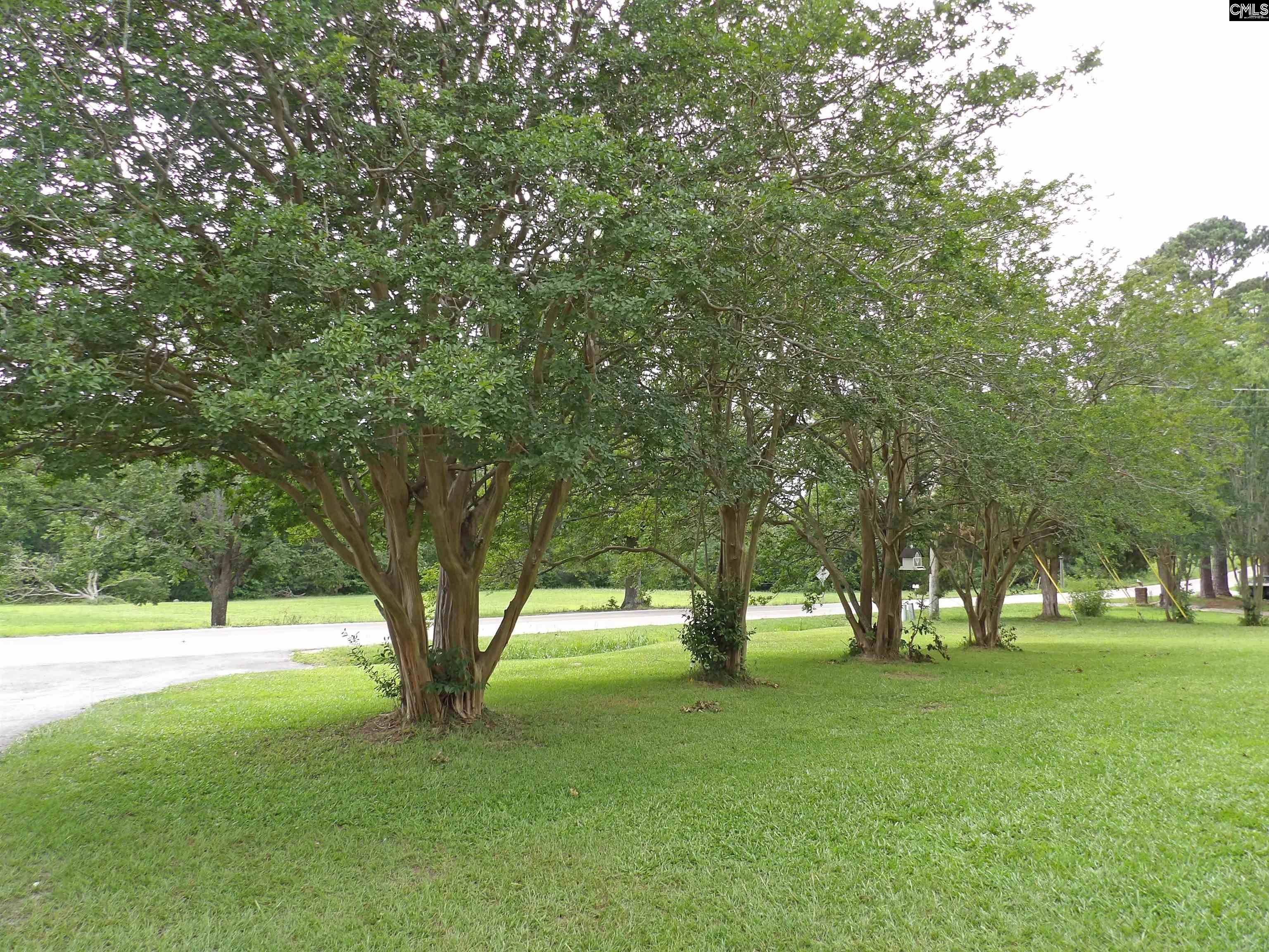1016 Willis Street, Batesburg, South Carolina image 11