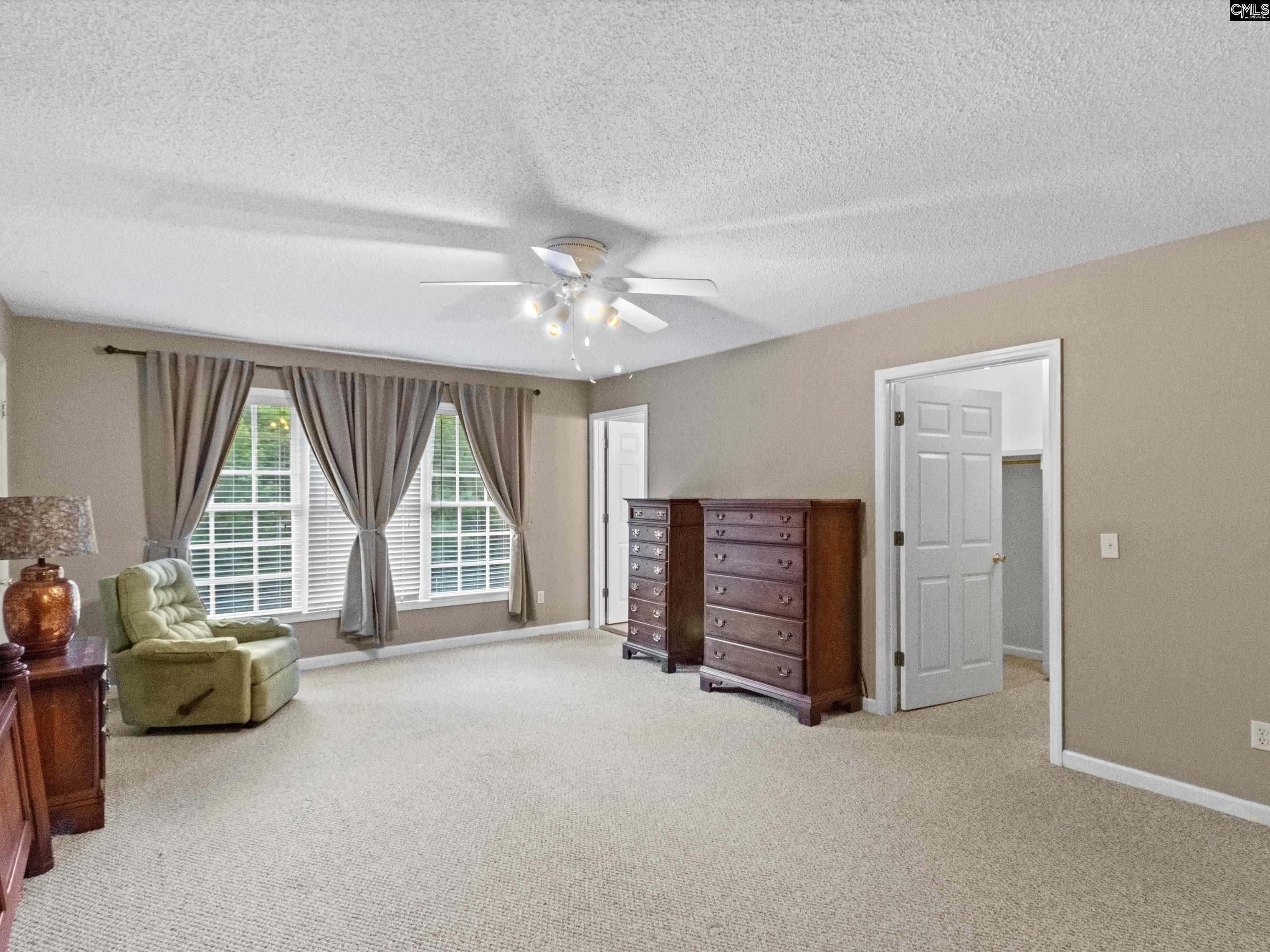 302 Brown Street, Prosperity, South Carolina image 21