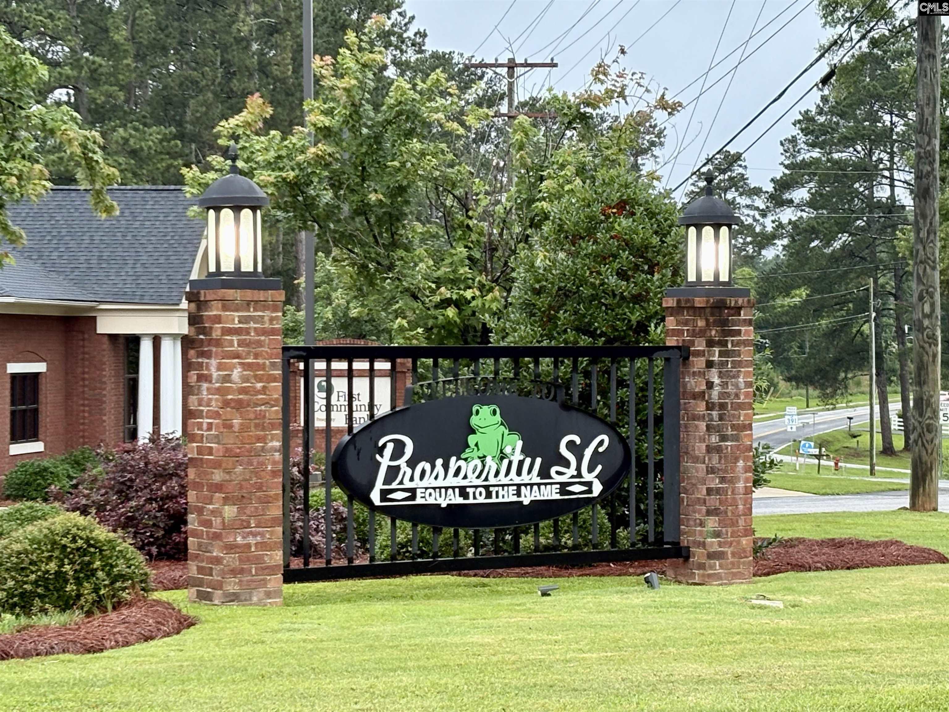 302 Brown Street, Prosperity, South Carolina image 36