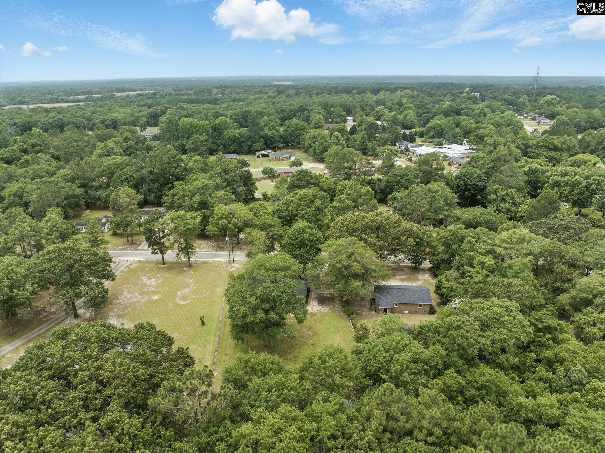 226 Sonny Drive, Gaston, South Carolina image 22
