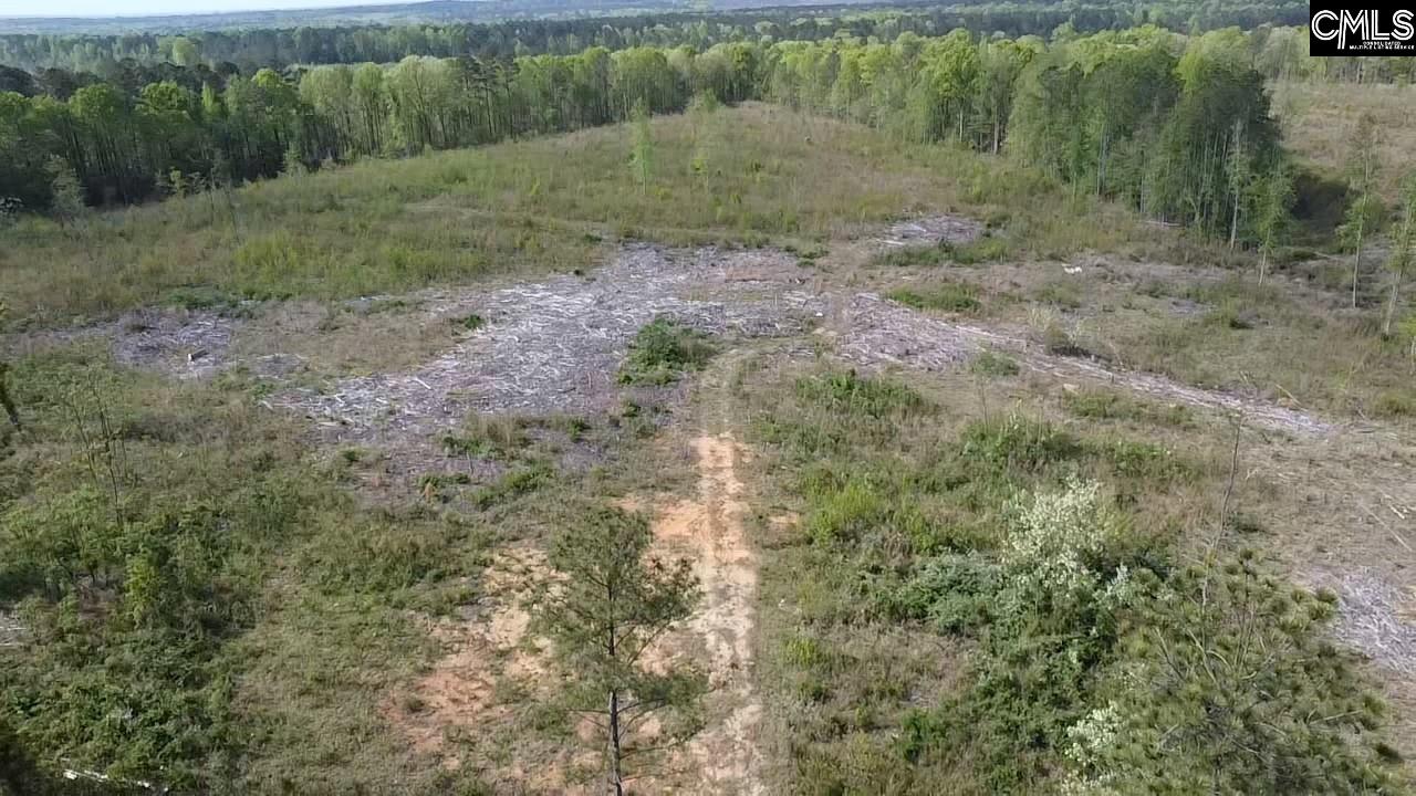 TBD Peake Road, Elgin, South Carolina image 2