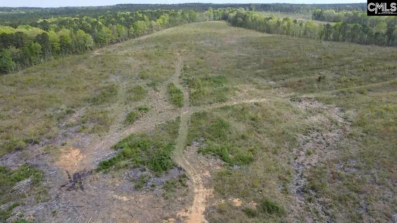 TBD Peake Road, Elgin, South Carolina image 13