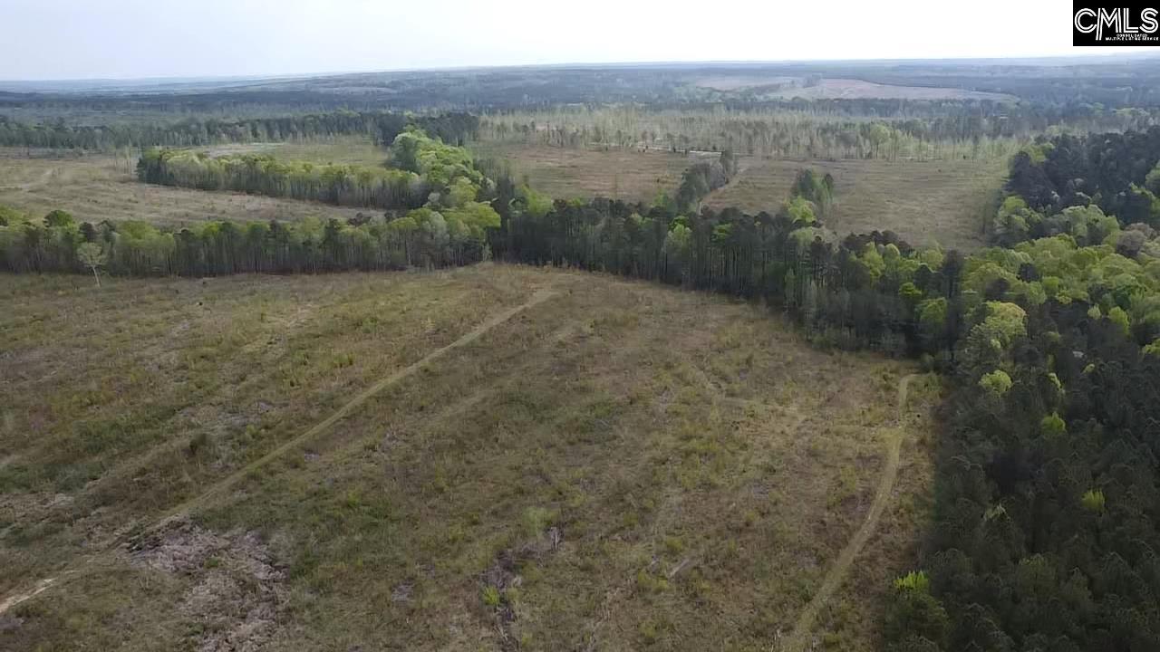 TBD Peake Road, Elgin, South Carolina image 17
